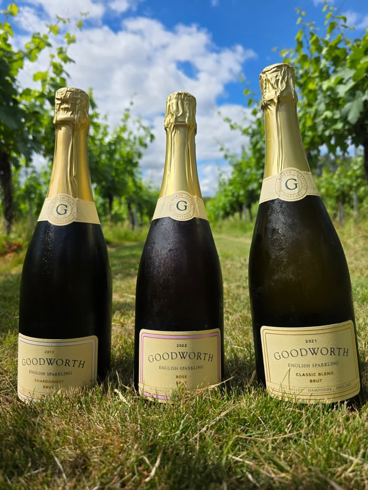 Our selection of wines