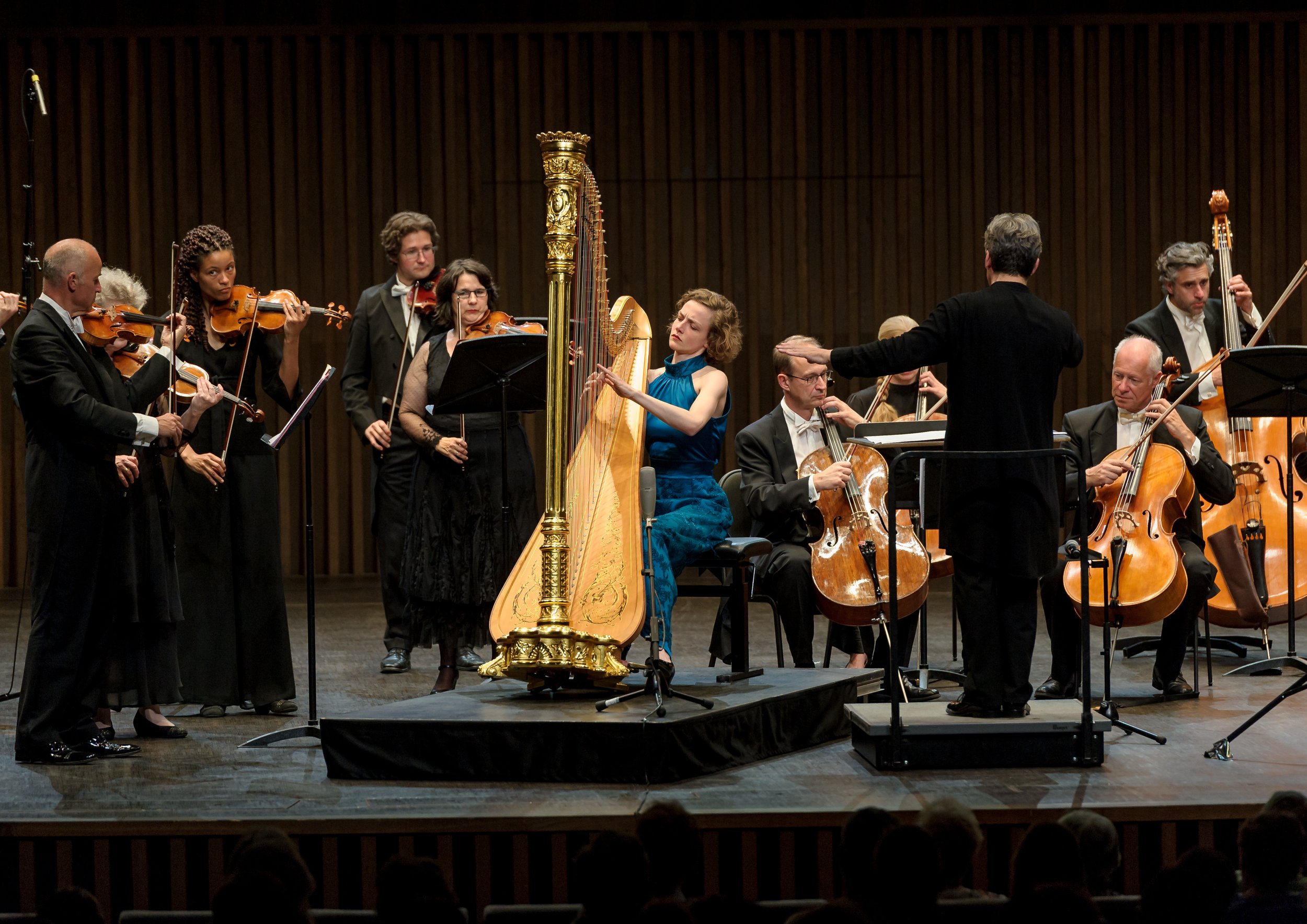 _DSC1679exp.jpg XXX.jpg