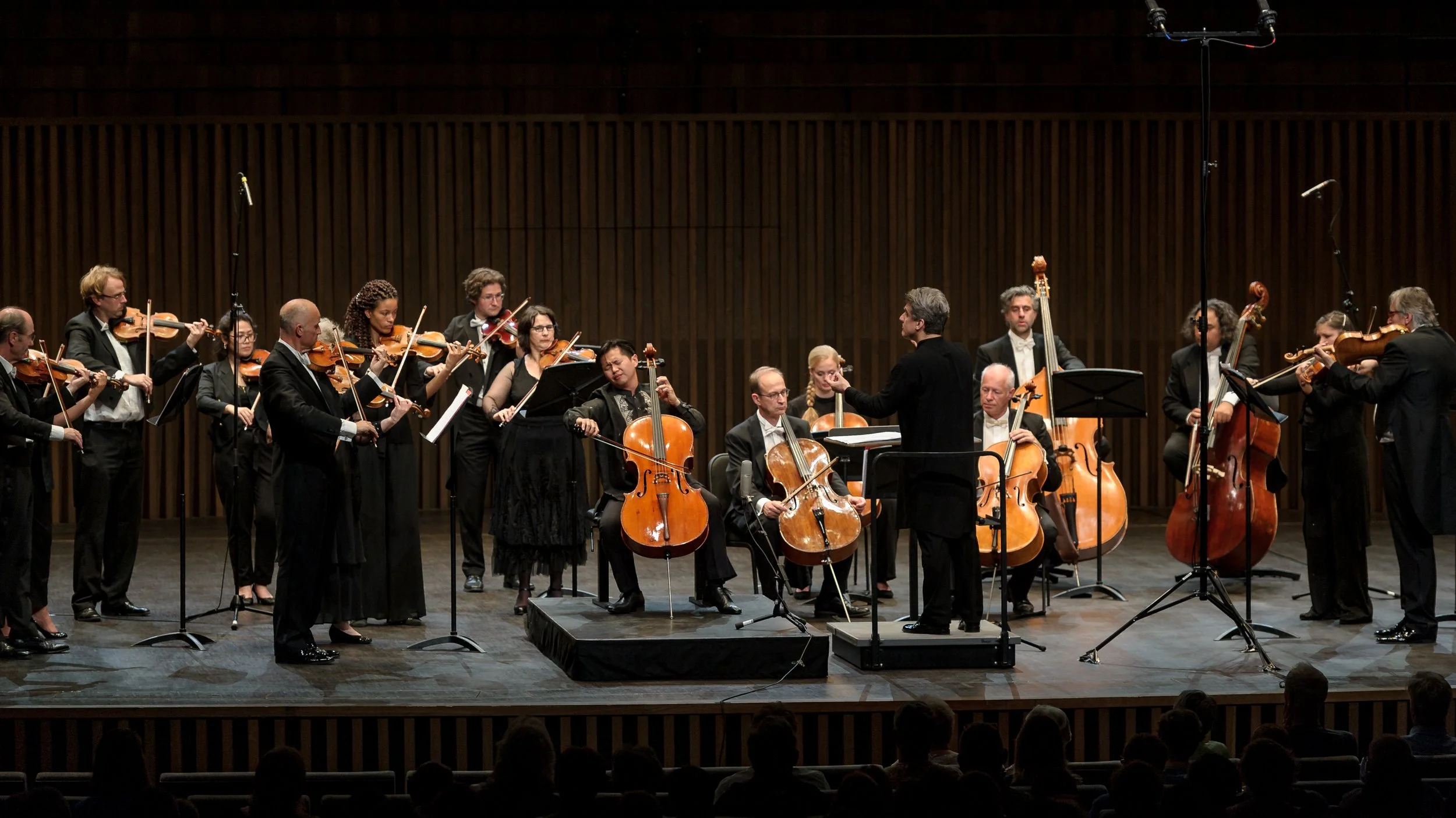 _DSC1774exp kopie.jpg