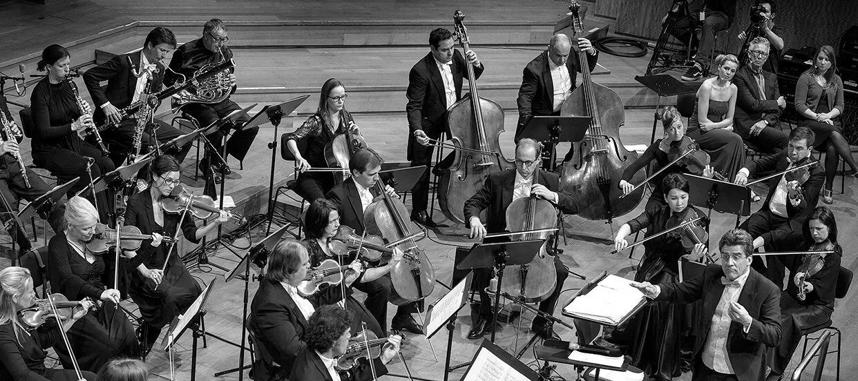 DSC_0130.jpg xxxWEB.jpg