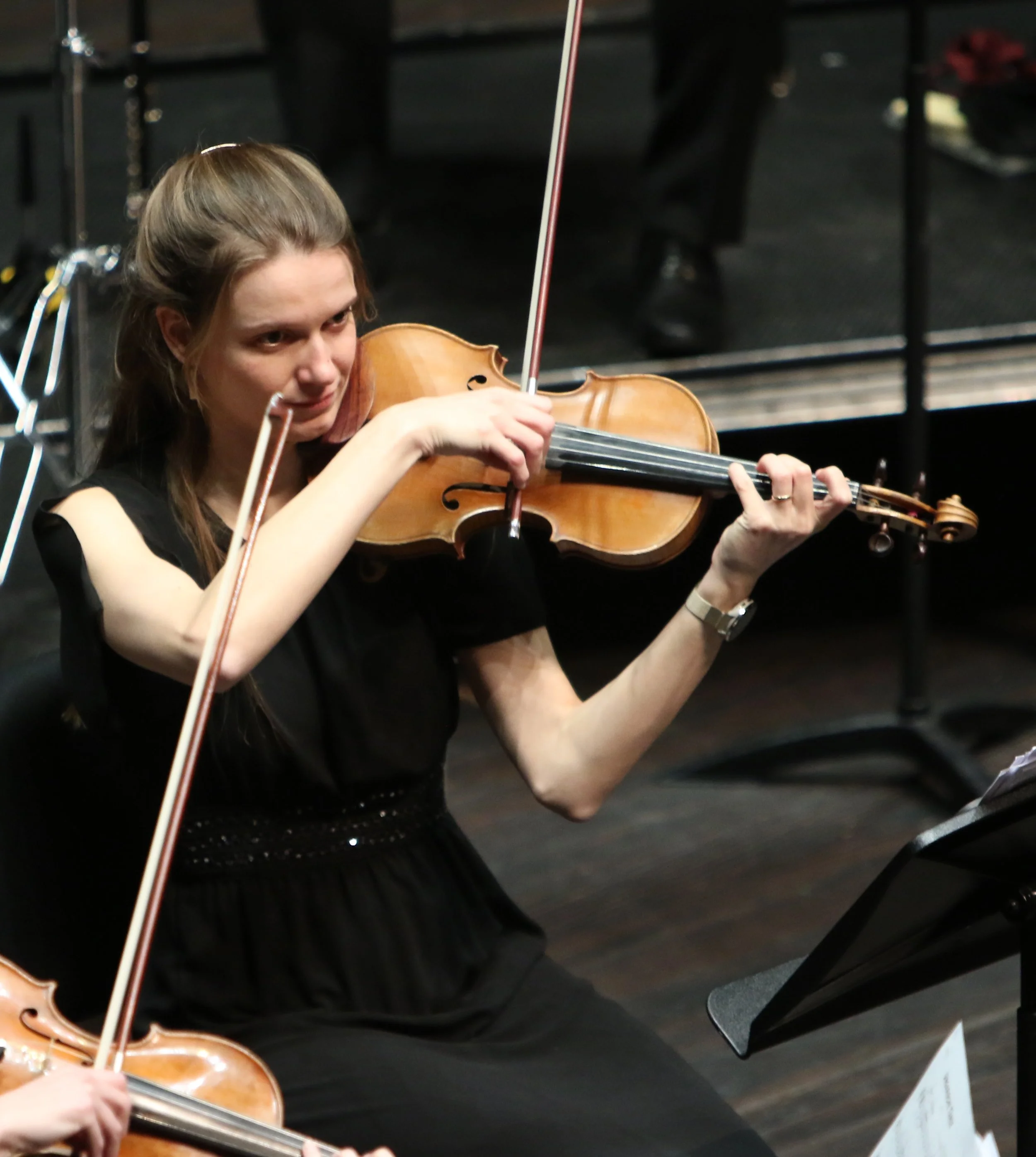 PLM 14 Viool kopie 2.JPG