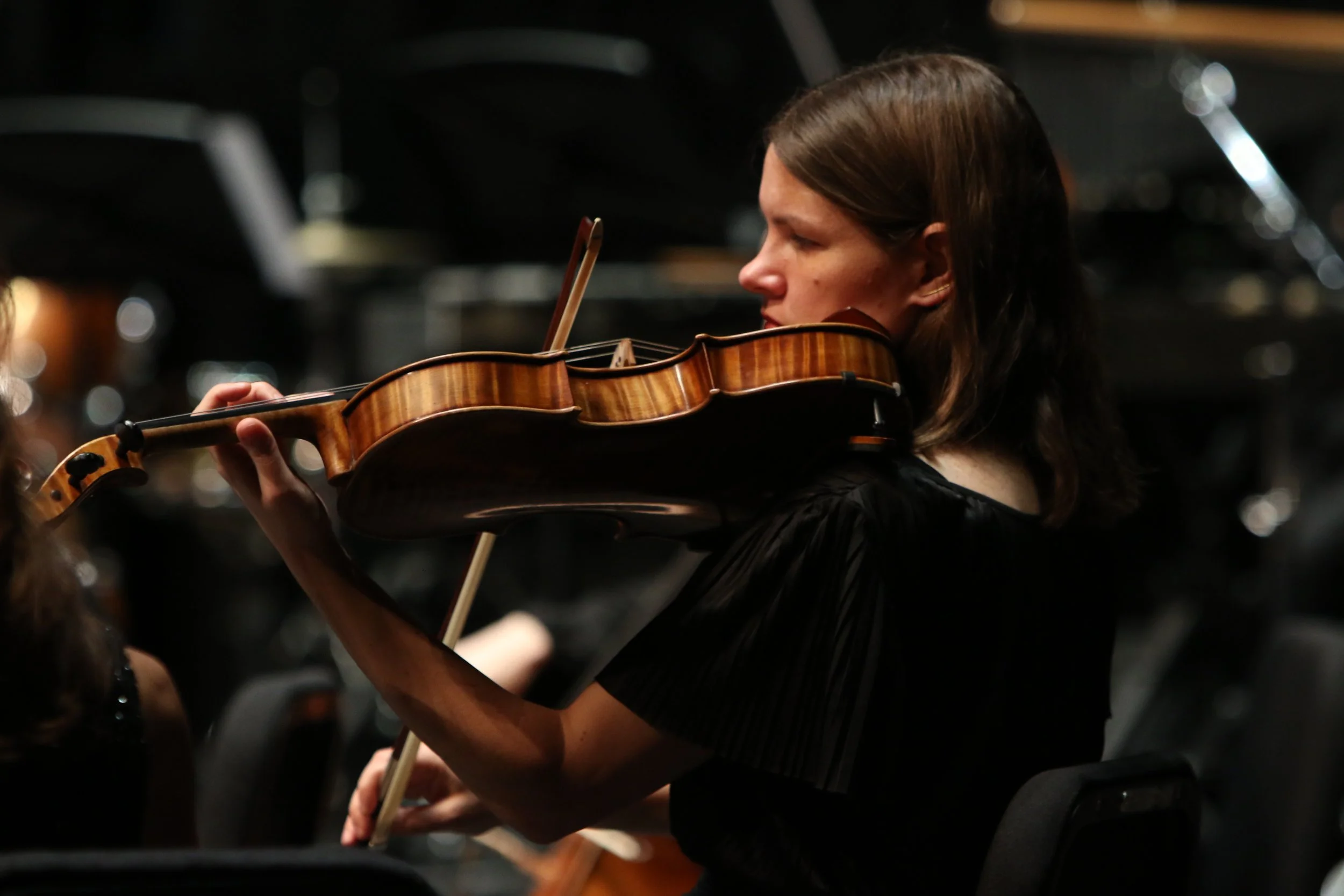 PLM Viola 3 kopie.JPG