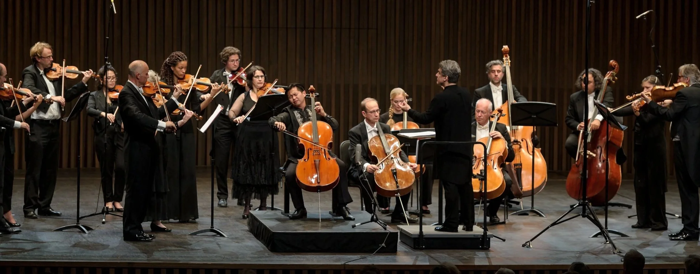 _DSC1774exp kopie.jpg