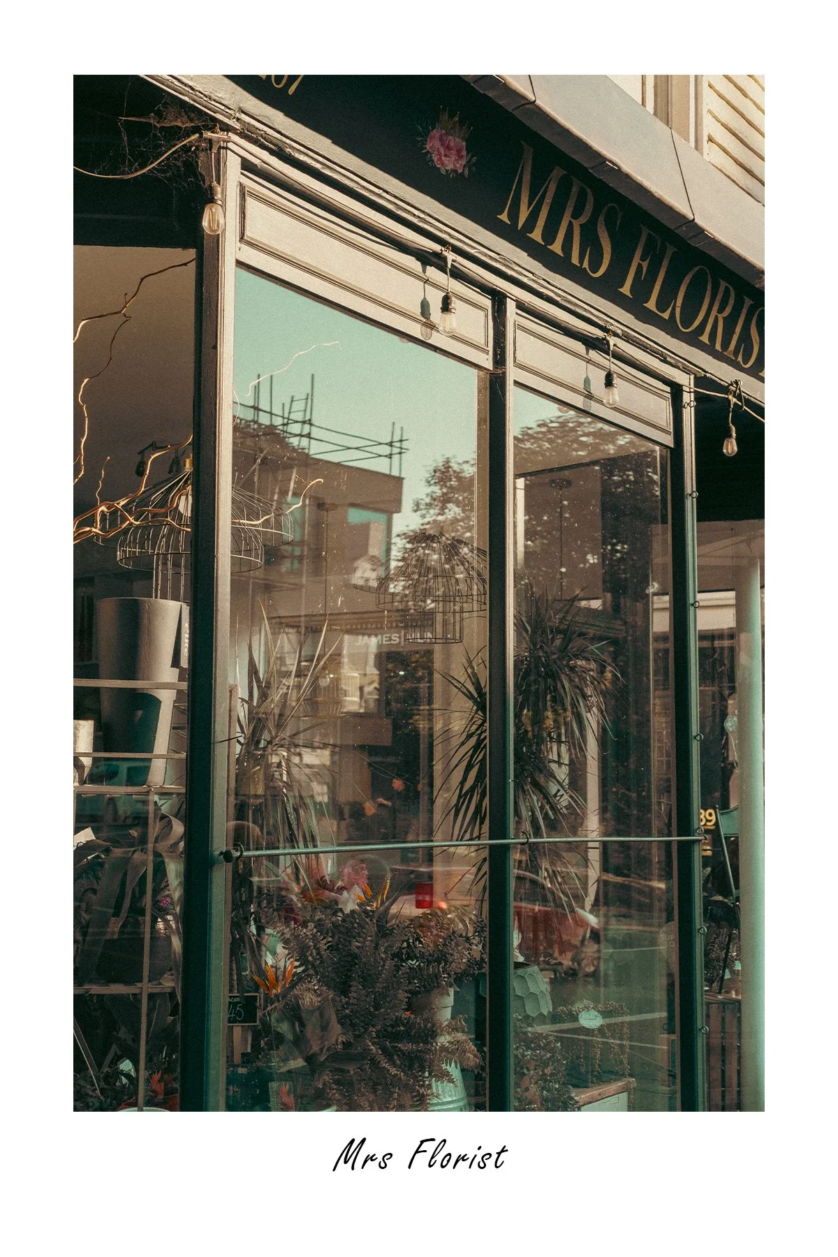 DSCF3052_Mrs Florist.jpg