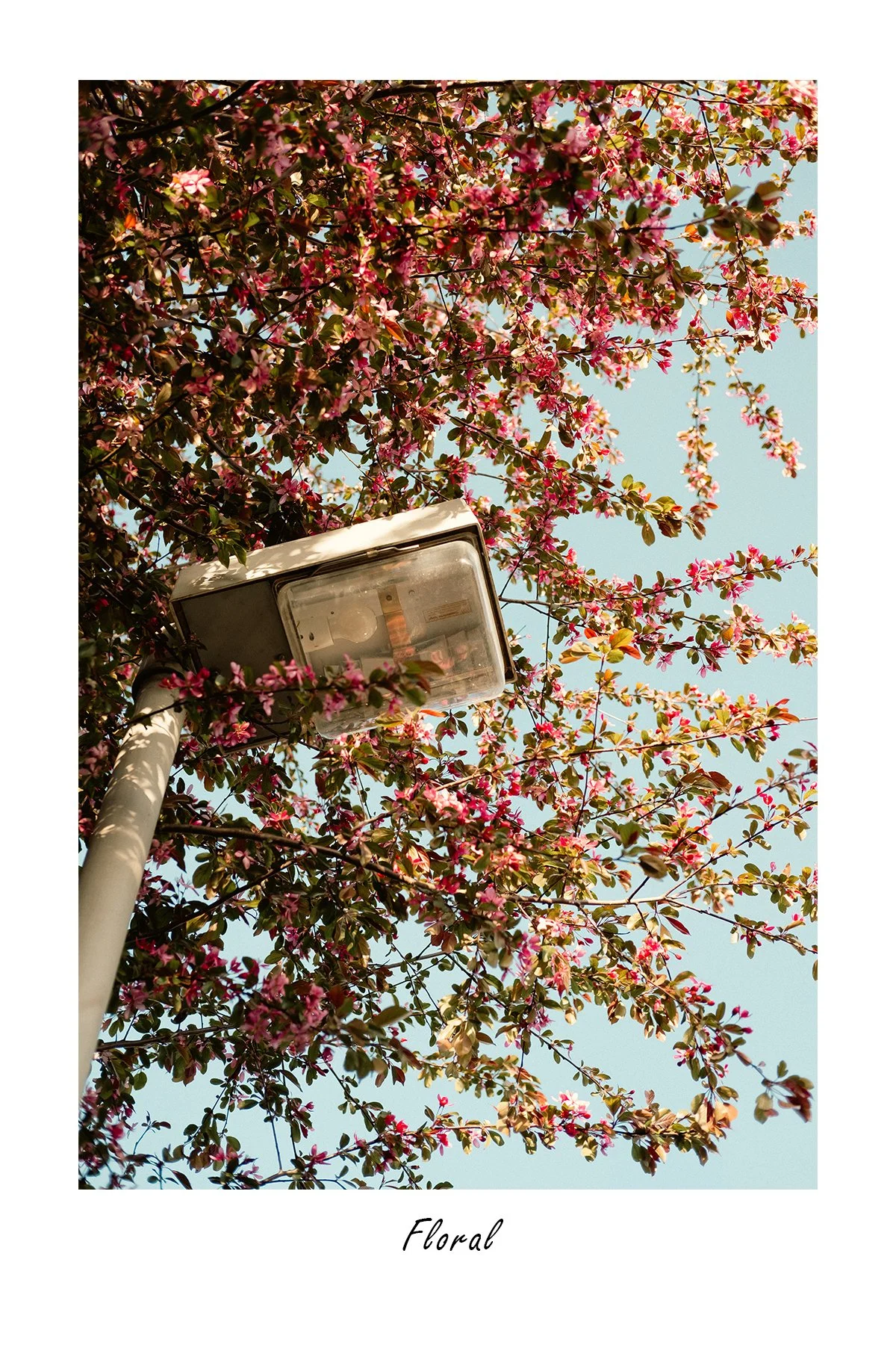 Foto 14.04.24_Floral.jpg