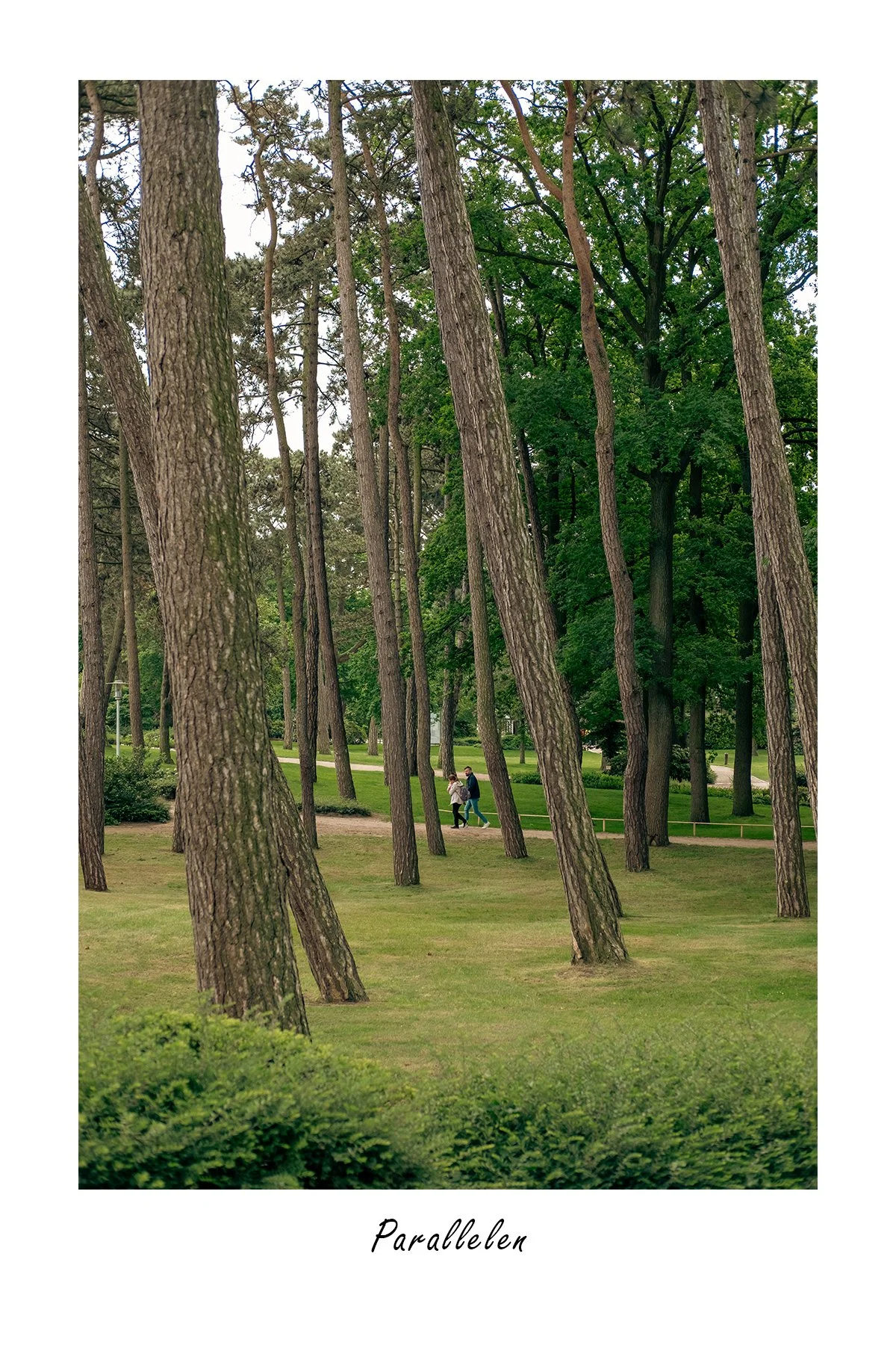 DSCF1148_Parallelen.jpg