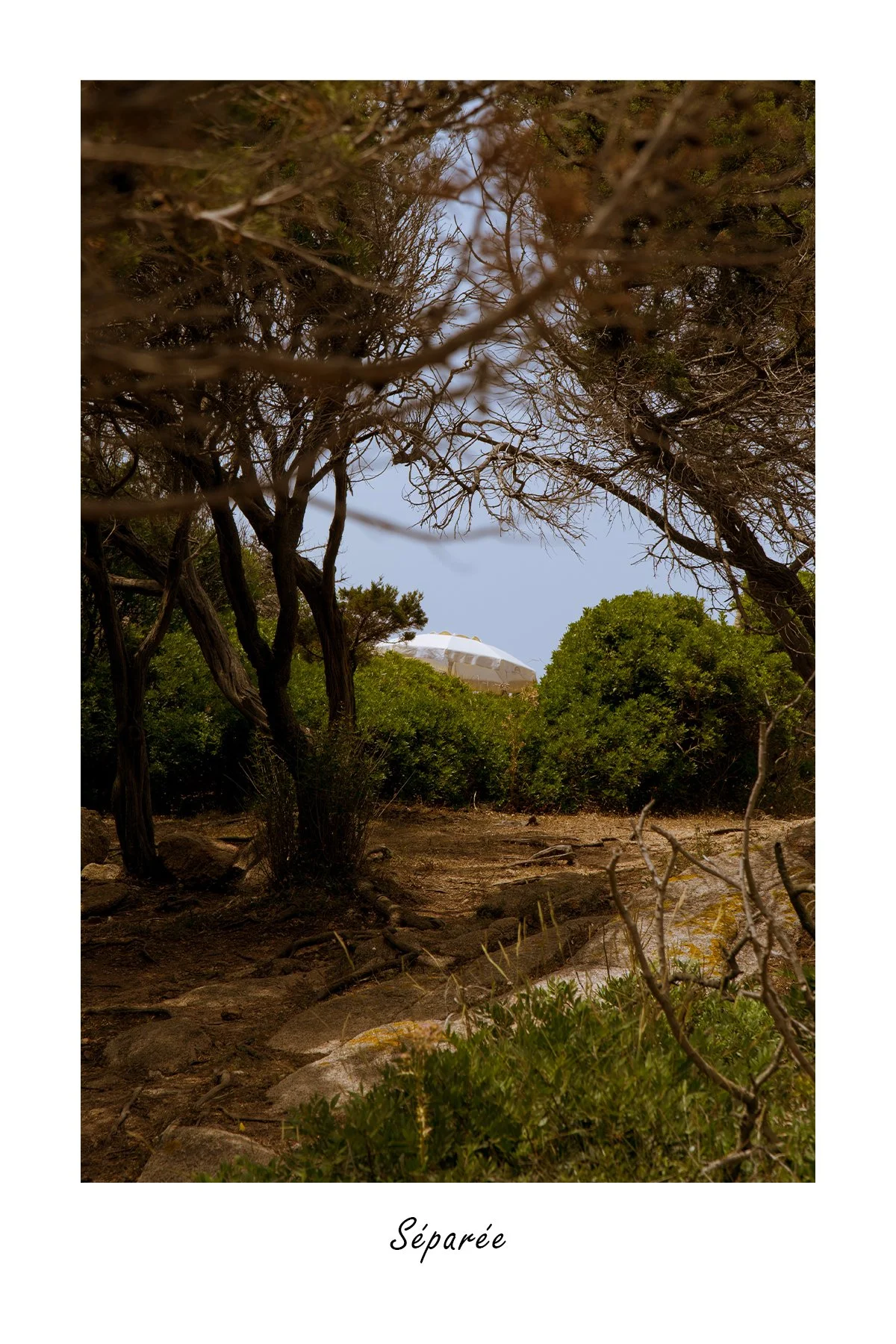 DSC07583_Séparée.jpg