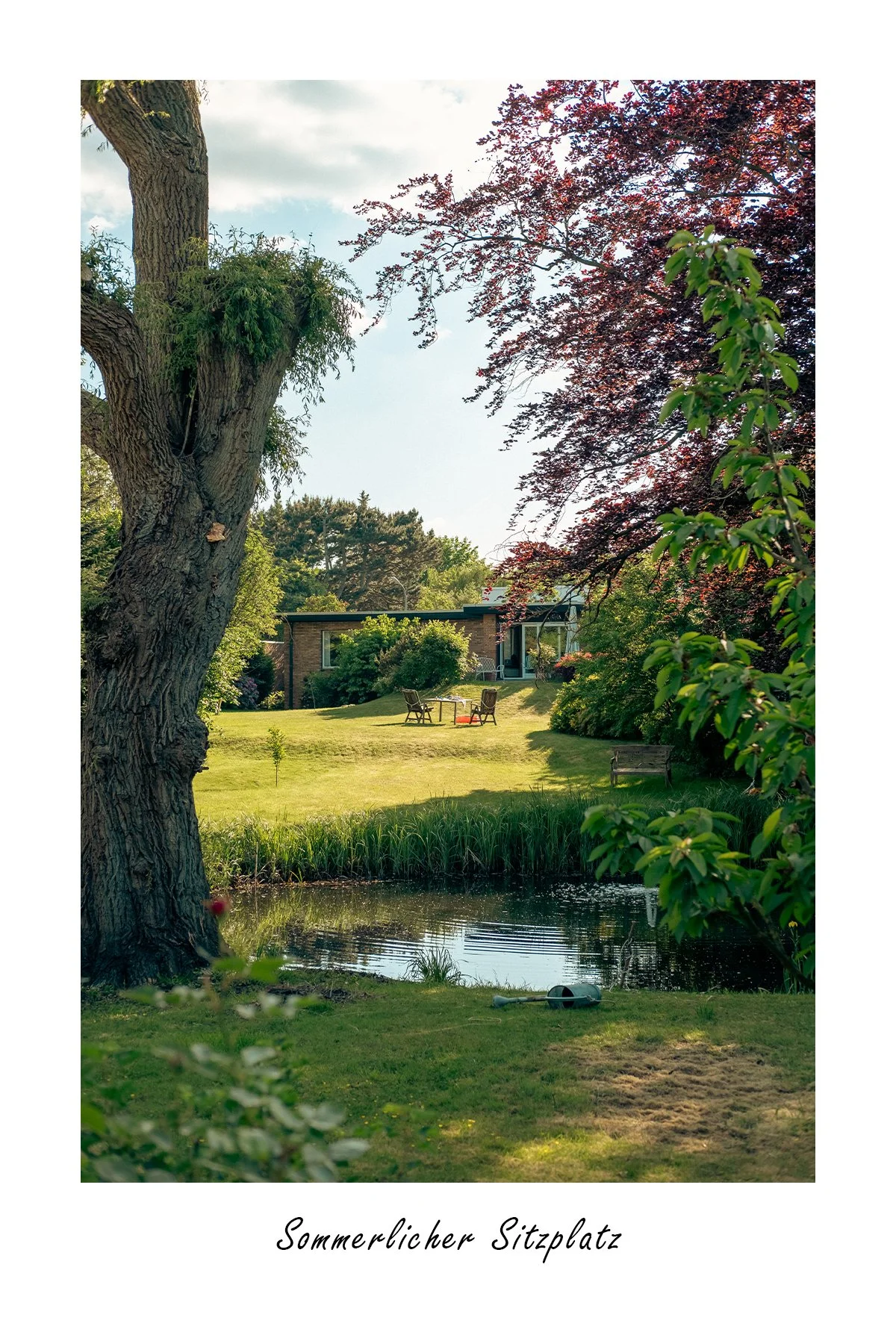 DSCF0756_Sommerlicher Sitzplatz.jpg