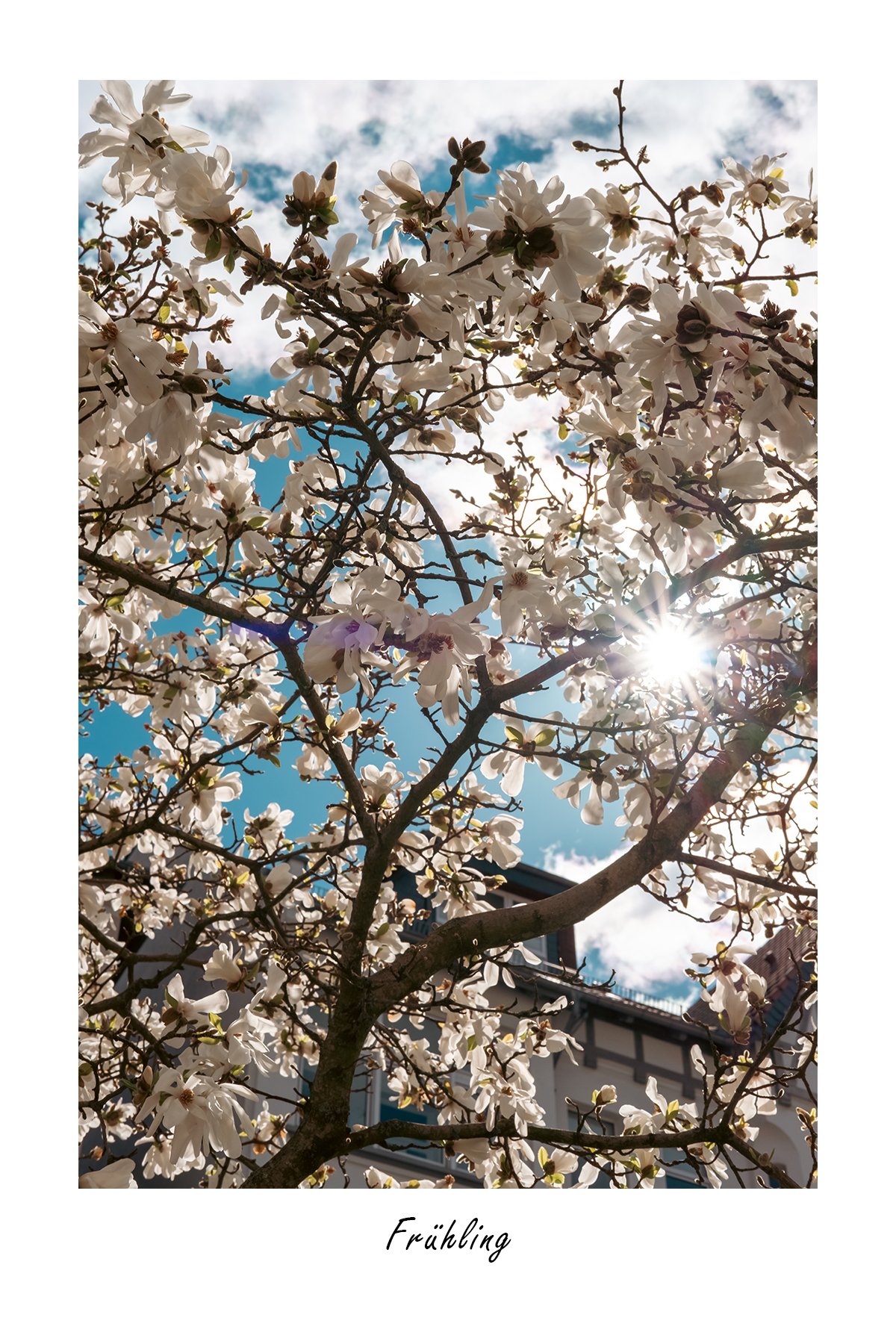 DSCF6908_Frühling.jpg