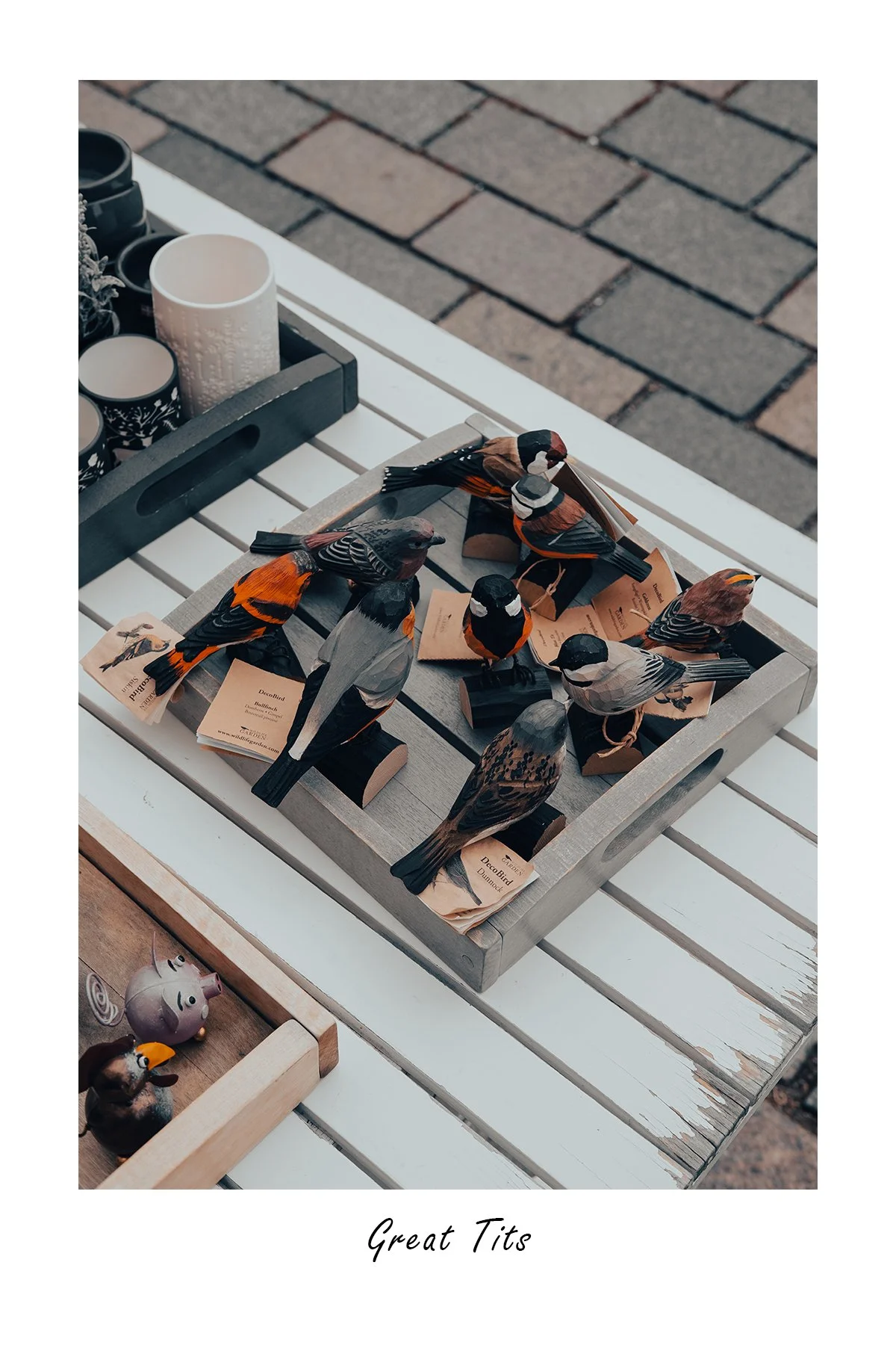 DSCF3803_Great Tits.jpg