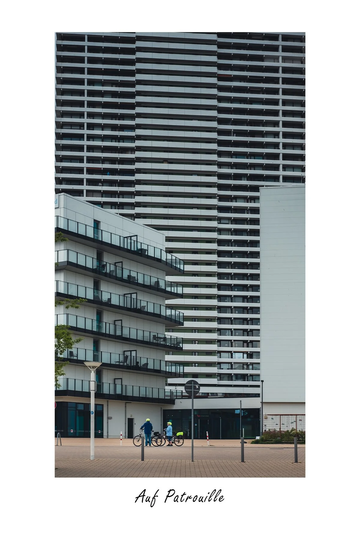 DSCF1360_auf Patrouille.jpg