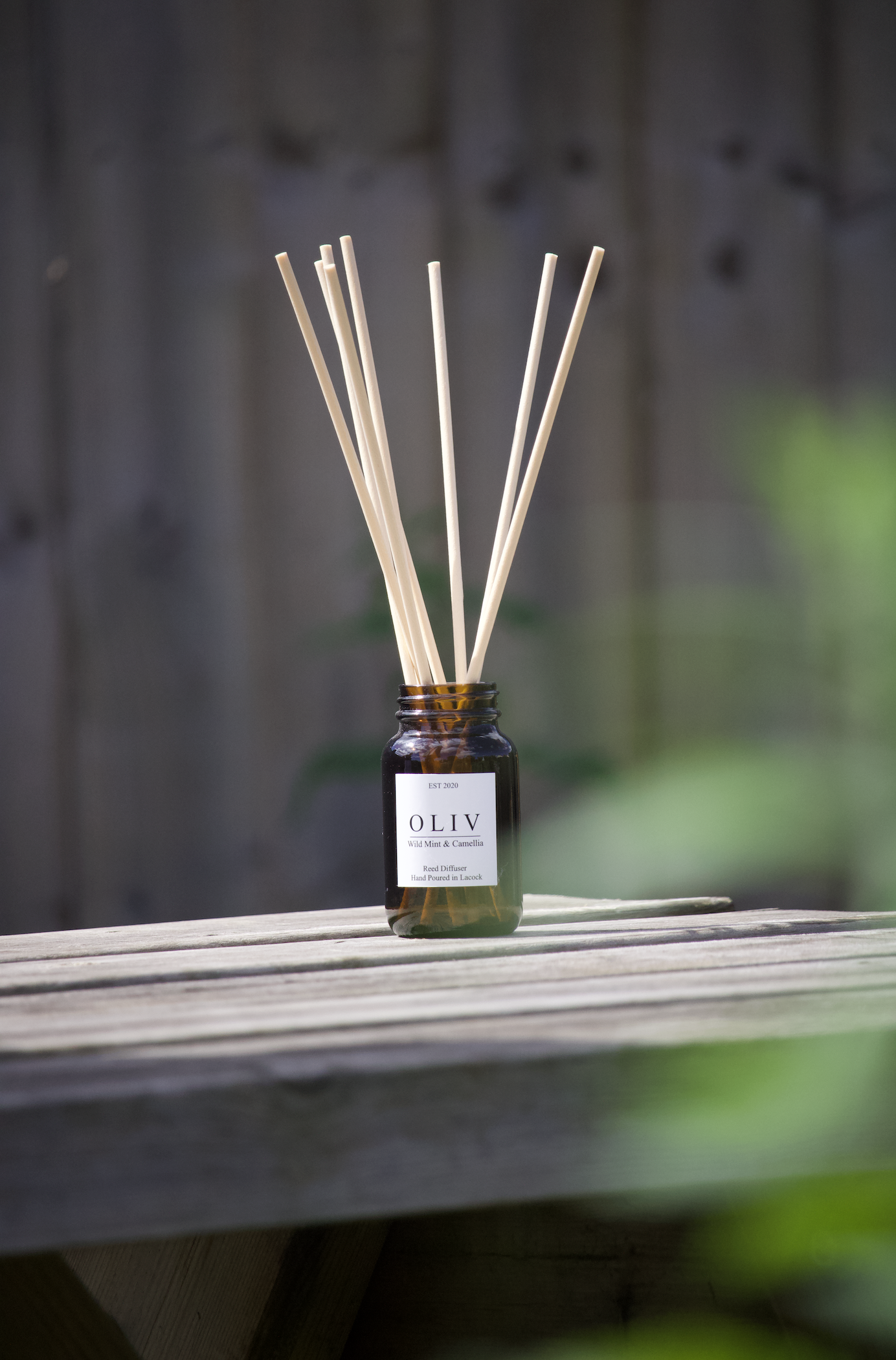 oliv wild mint and canmellia situ pic.png