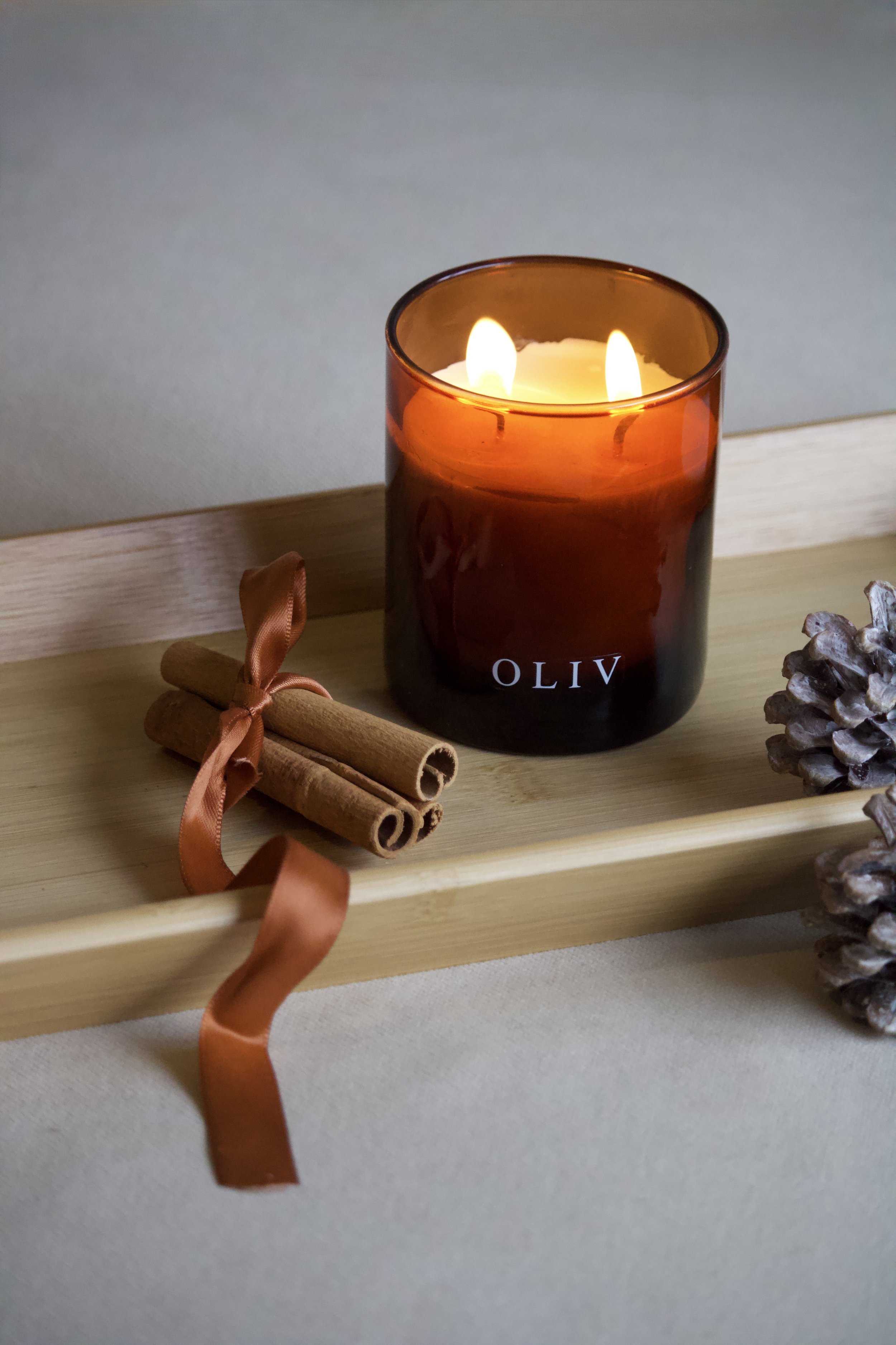 white winter dual wick candle oliv.jpg
