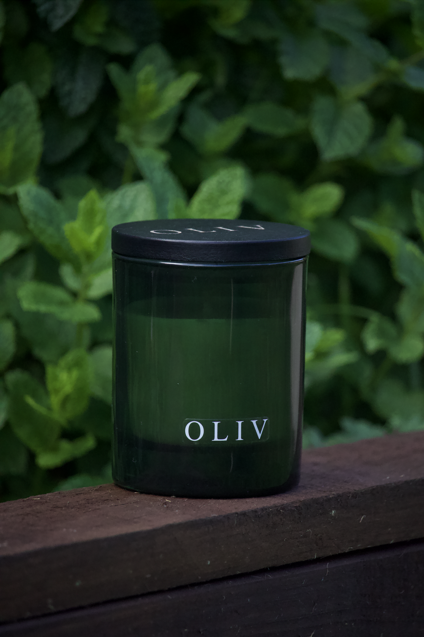 green oliv wild mint and camellia candle.png
