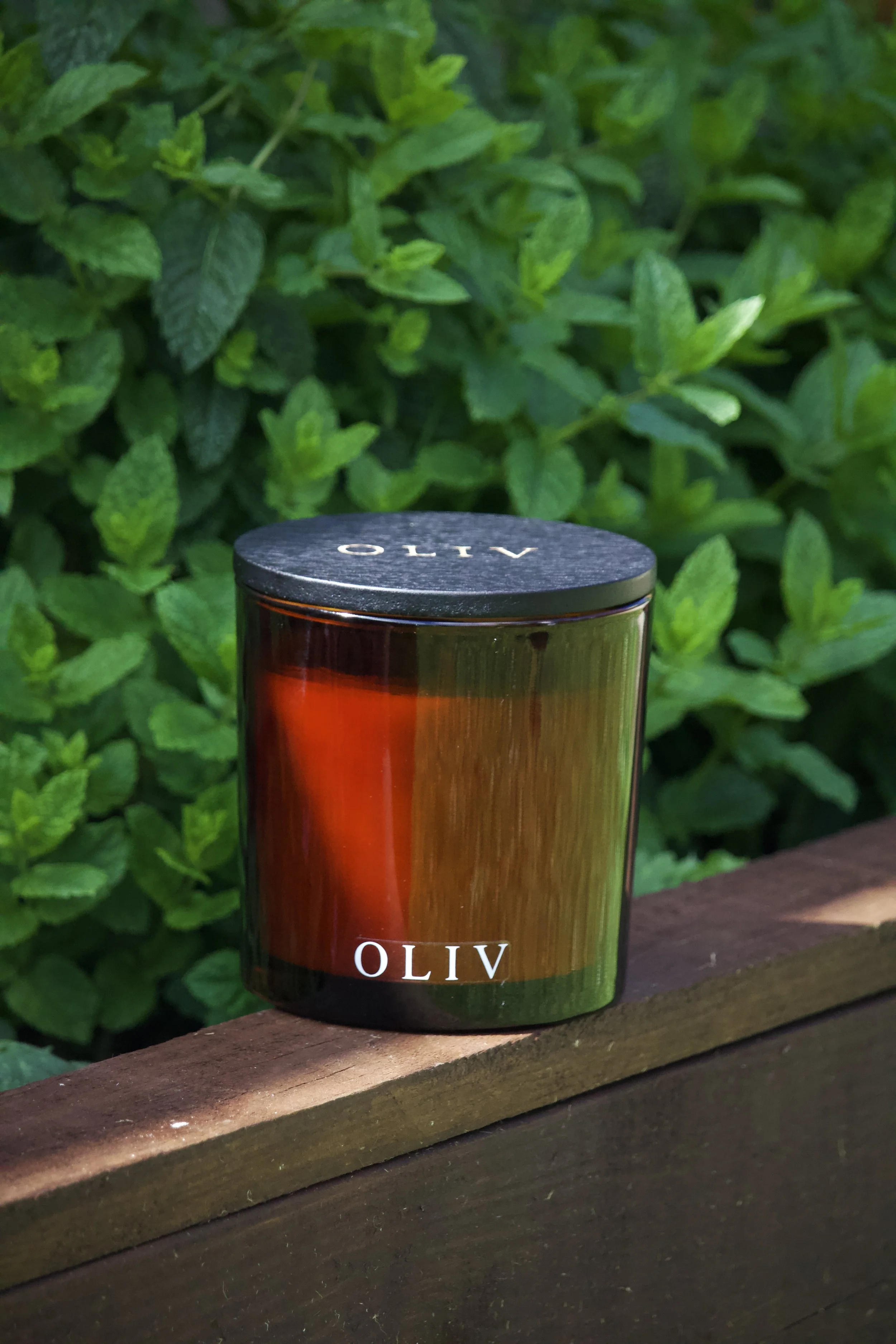 wild mitn camellia triple wick oliv candle.jpg (Copy)