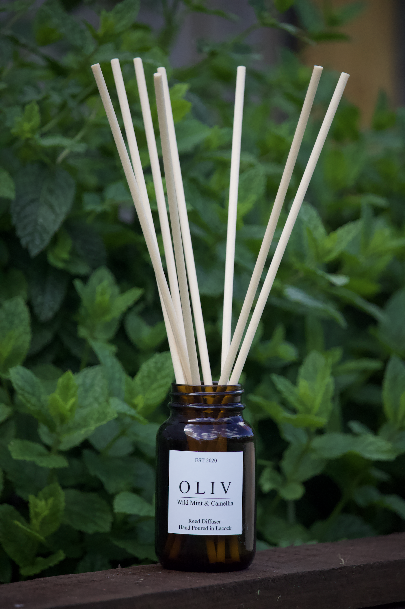 wild mint and camellia oliv reed difuser lifetsyle pic.png