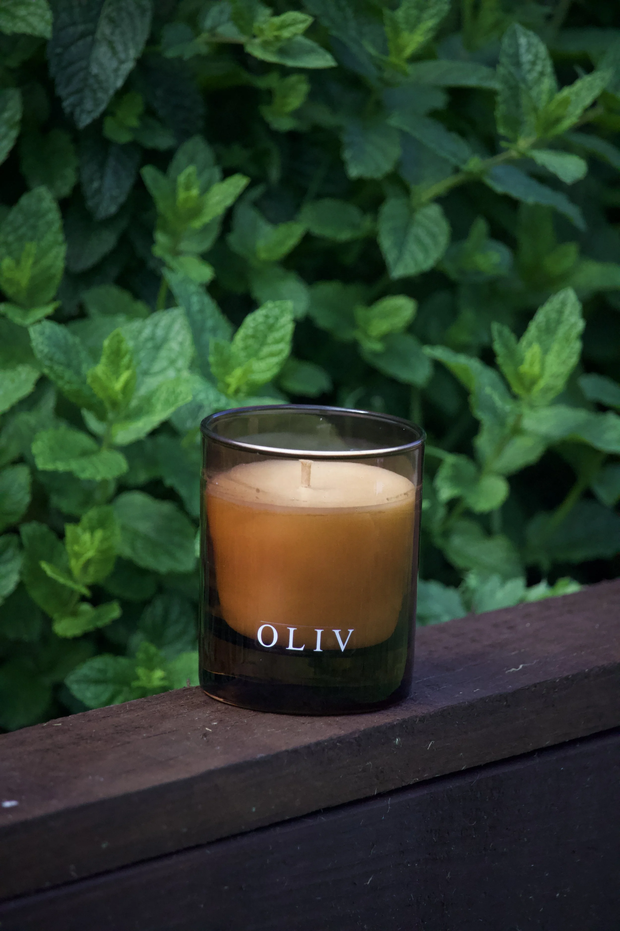 wild mint & camellia oliv candle pic.jpg