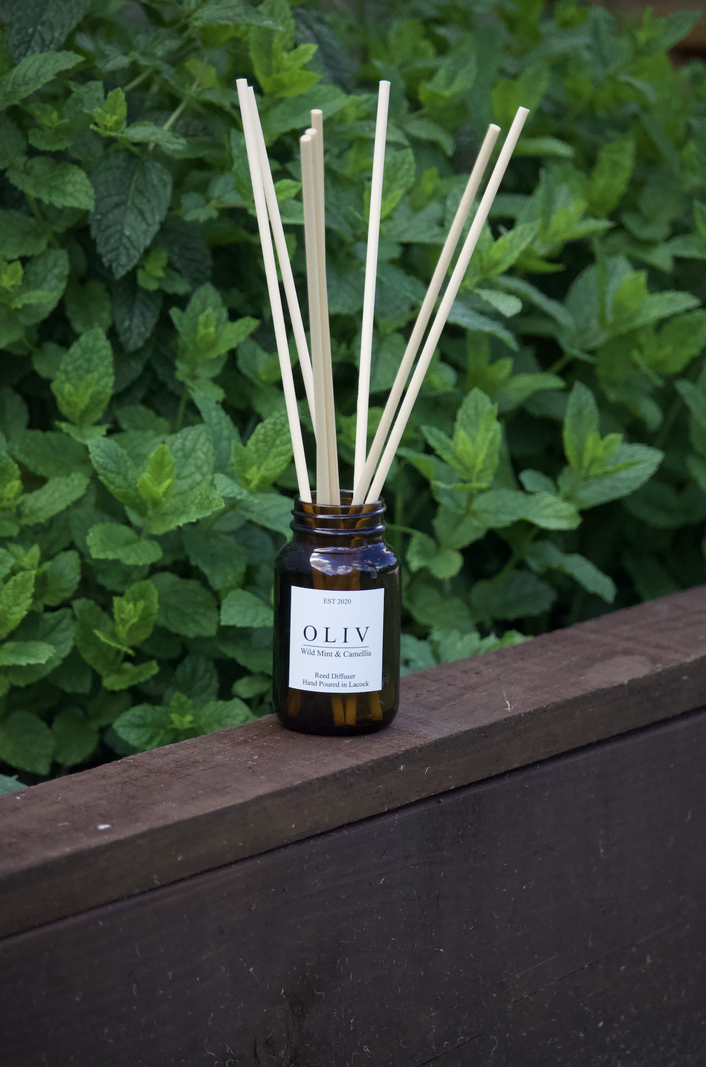wild mint and camellia lifestyle pic.png