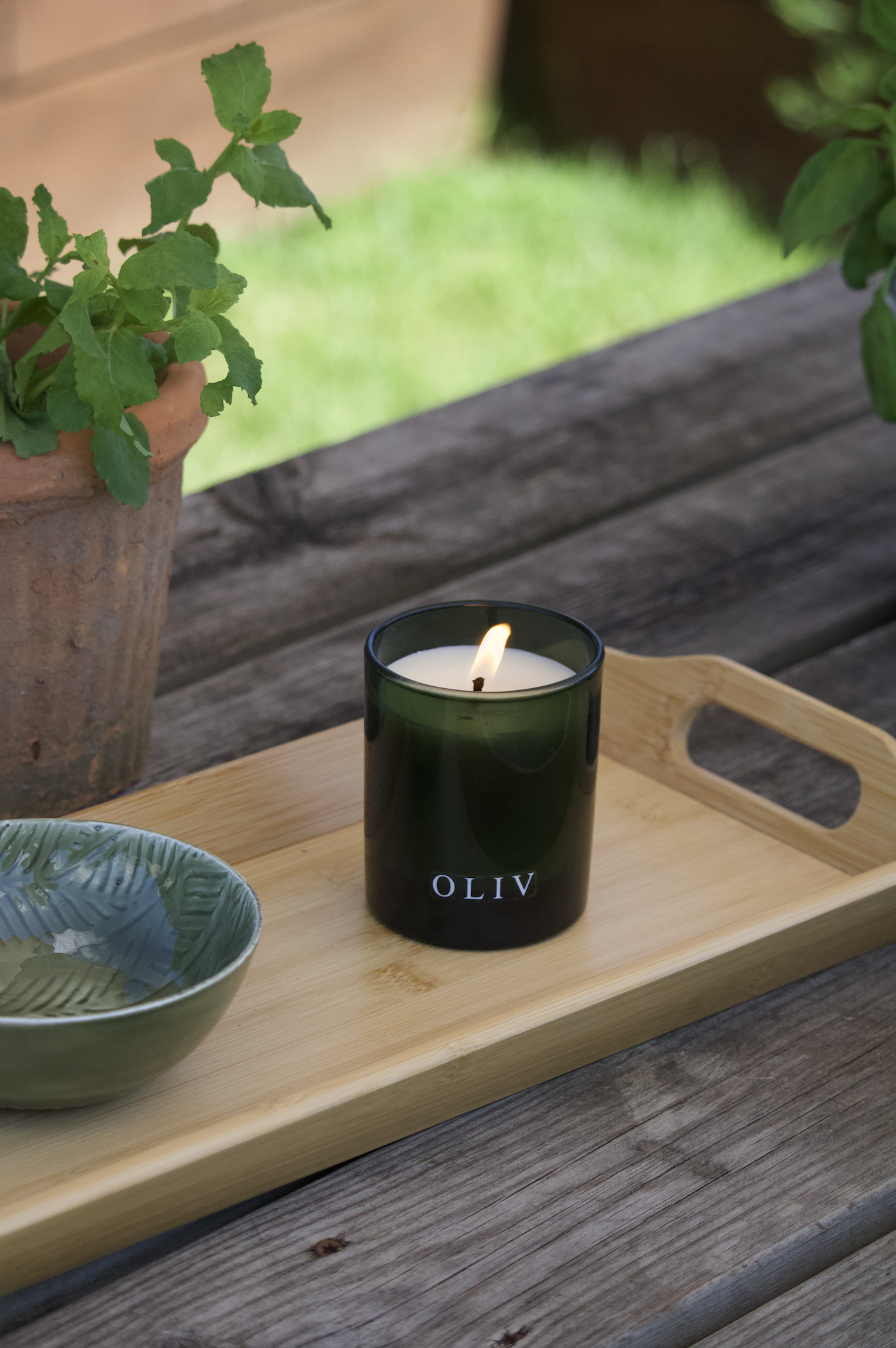 wild mint camellia oliv lifestyle pic.png
