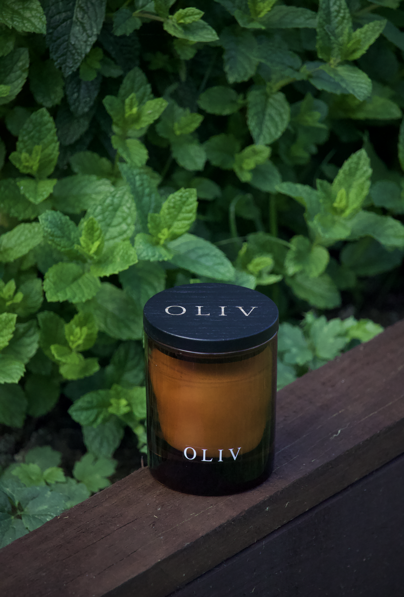 wild mint camellia candle oliv.png