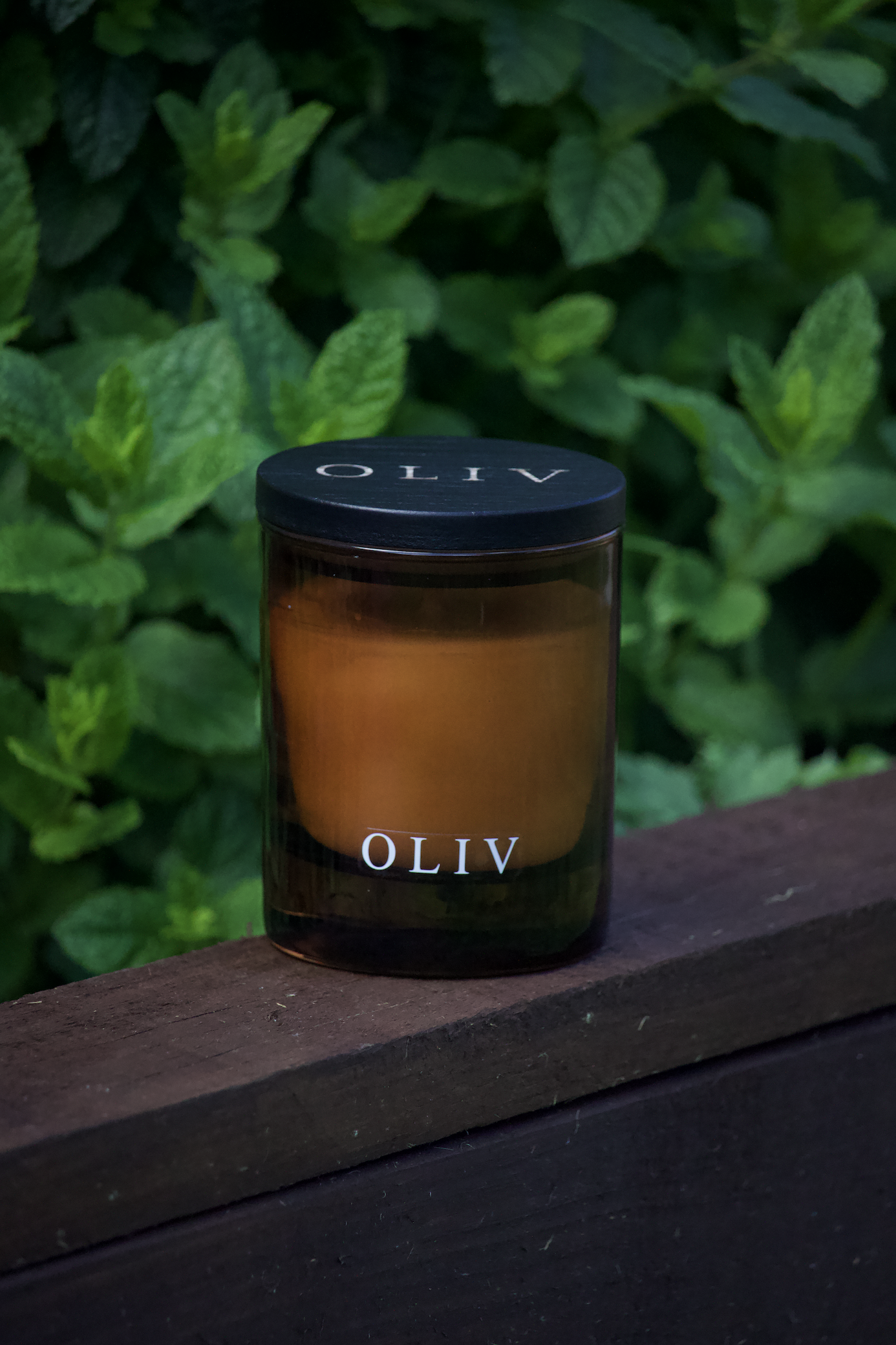 oliv wild mint camellai candle.png