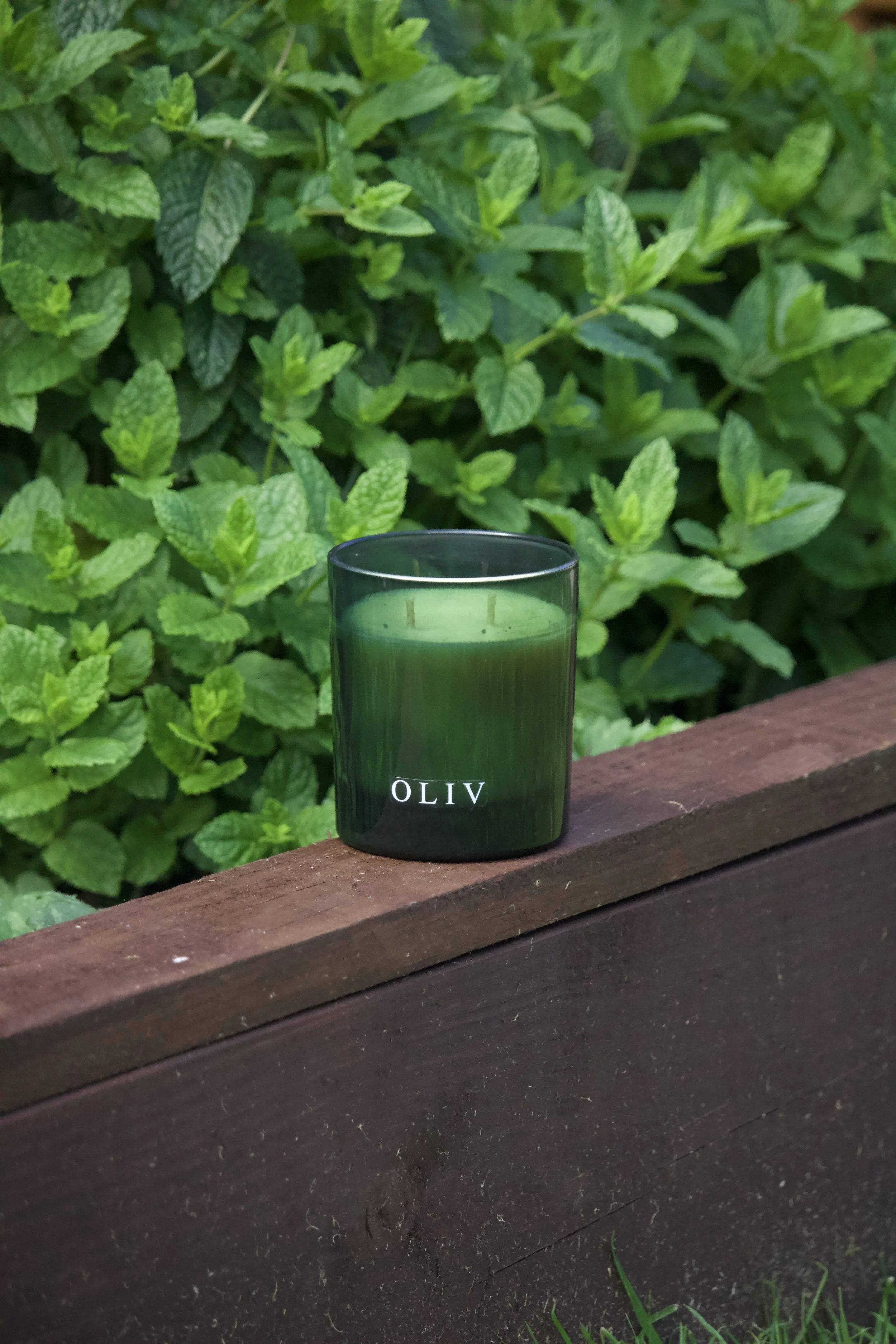 WILD MINT CANDLE OLIV.jpg