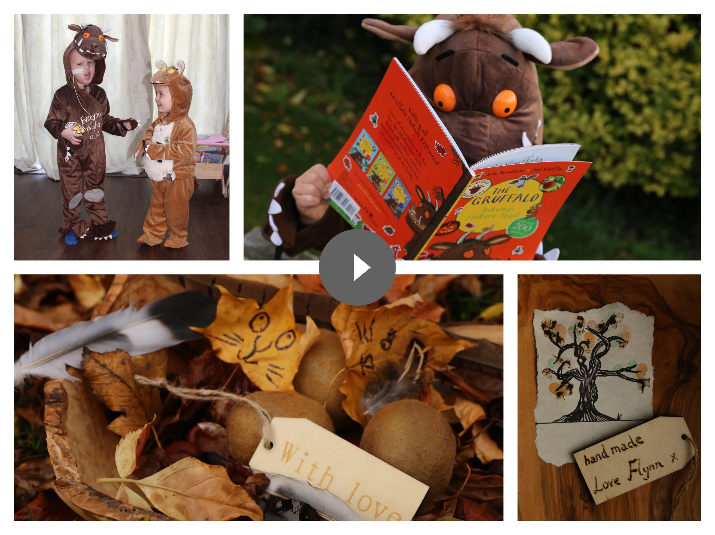 The Gruffalo Autumn Nature Trail