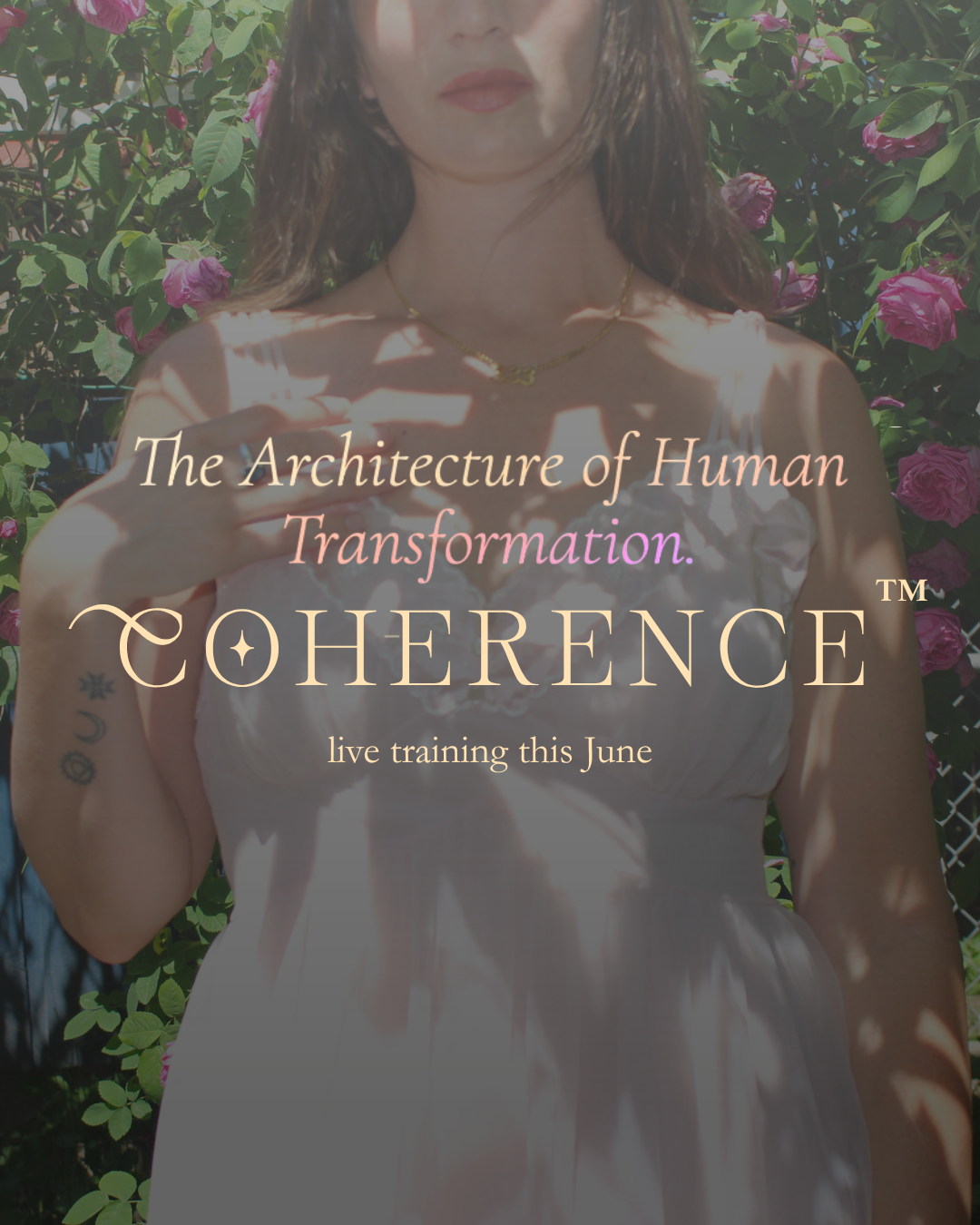 Coherence™ — Human Architecture Certification · Member Rate