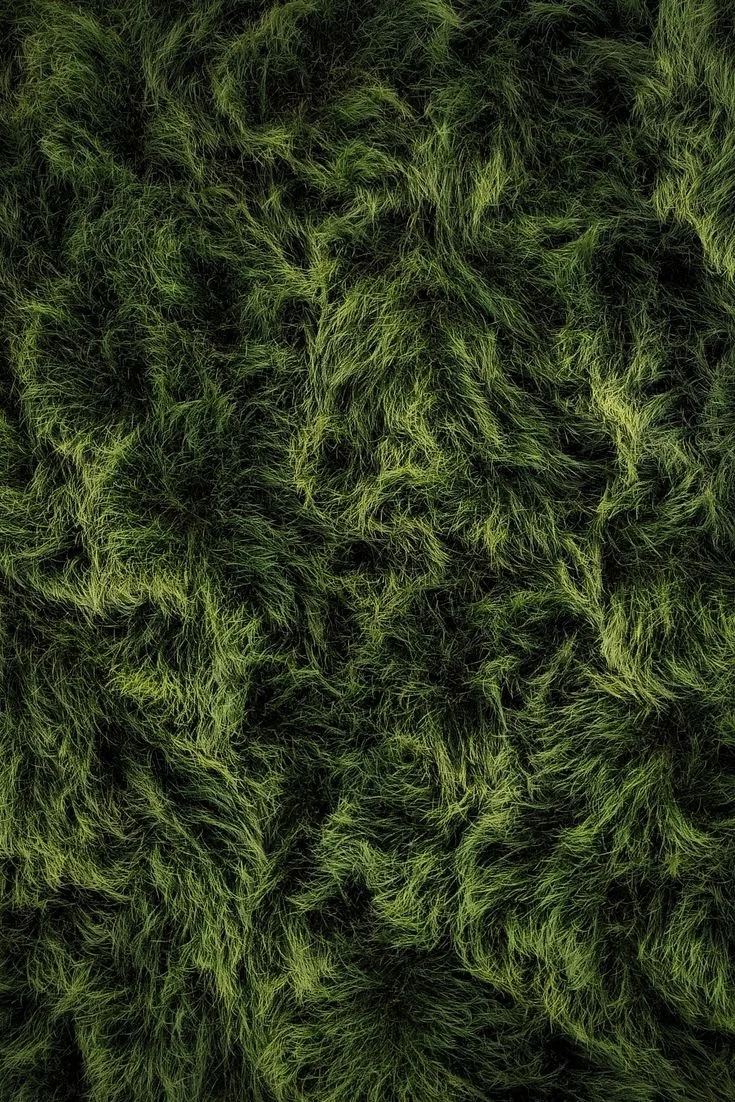 Close-up of green and black patterned fur or a textured fabric resembling fur.