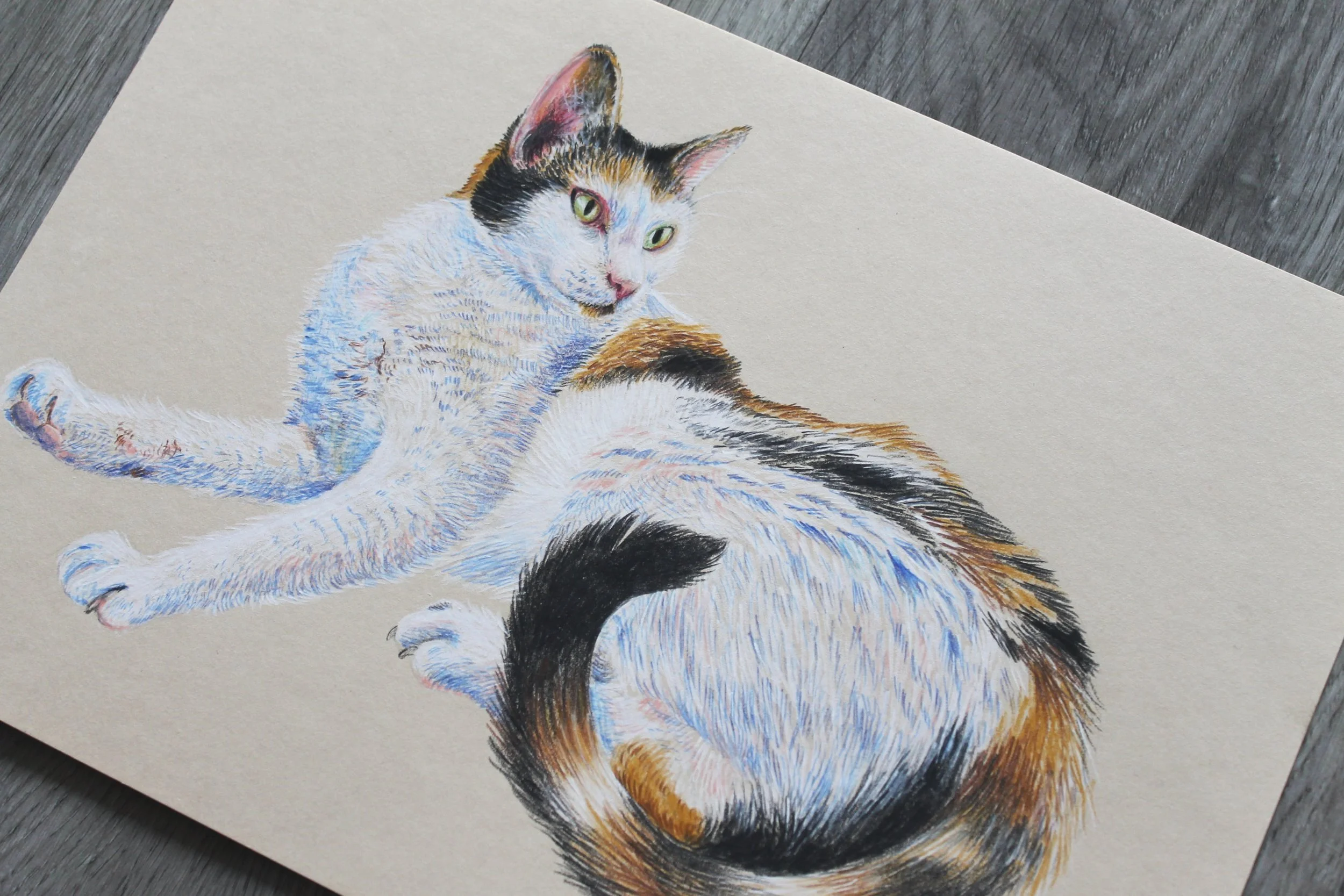 IMG_4520.jpg