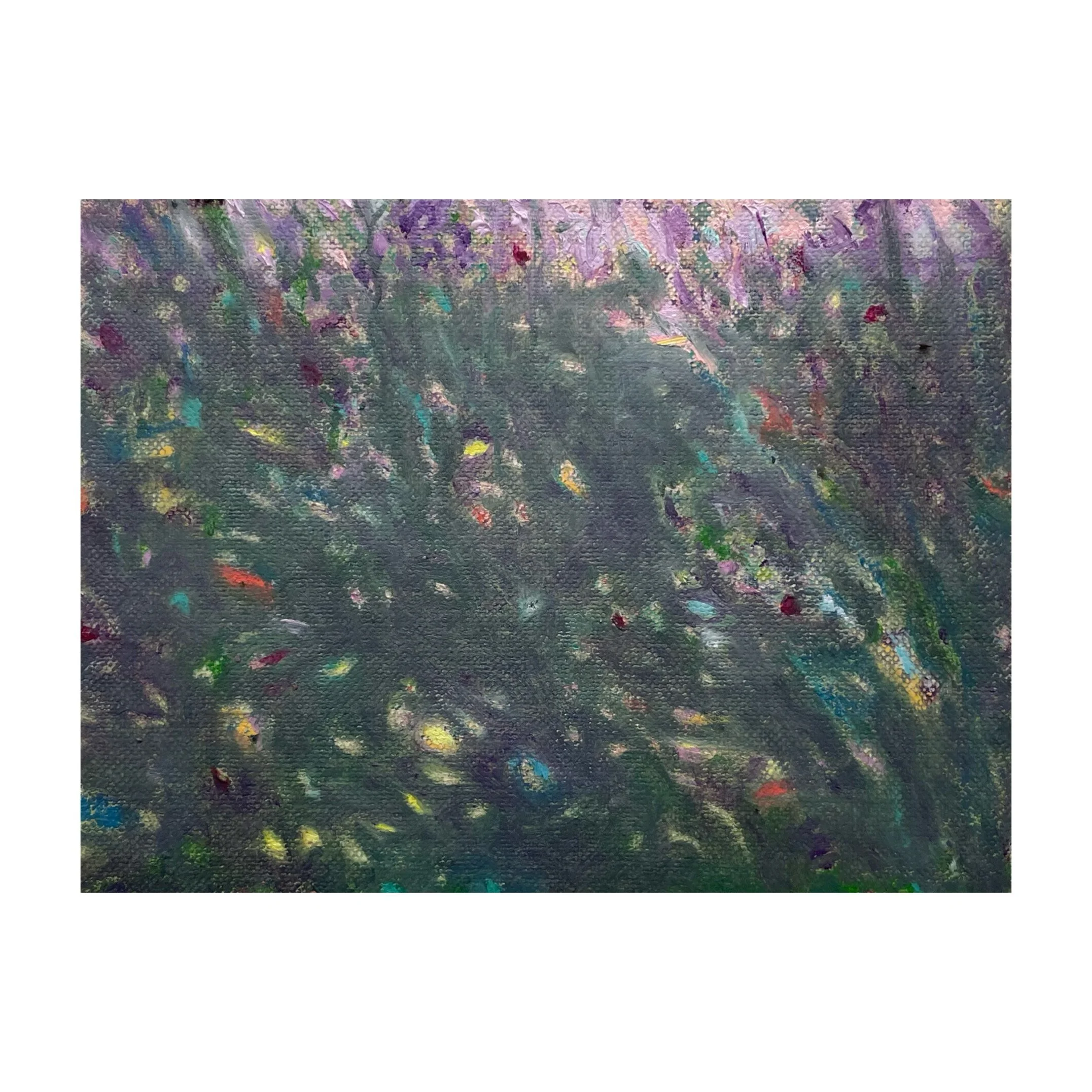 'Wilderness' oil on linen, 15 x 20cm, 2026