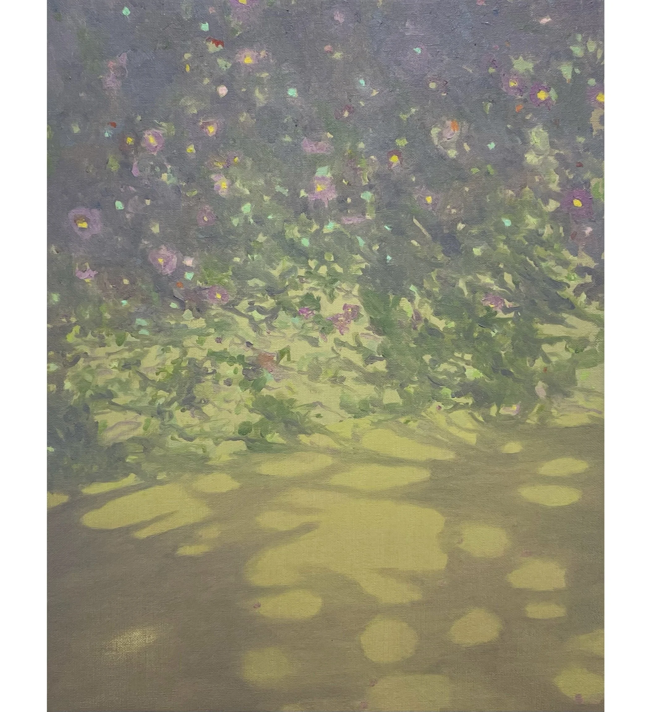 'Siepe' oil on linen, 35 x 28cm, 2025