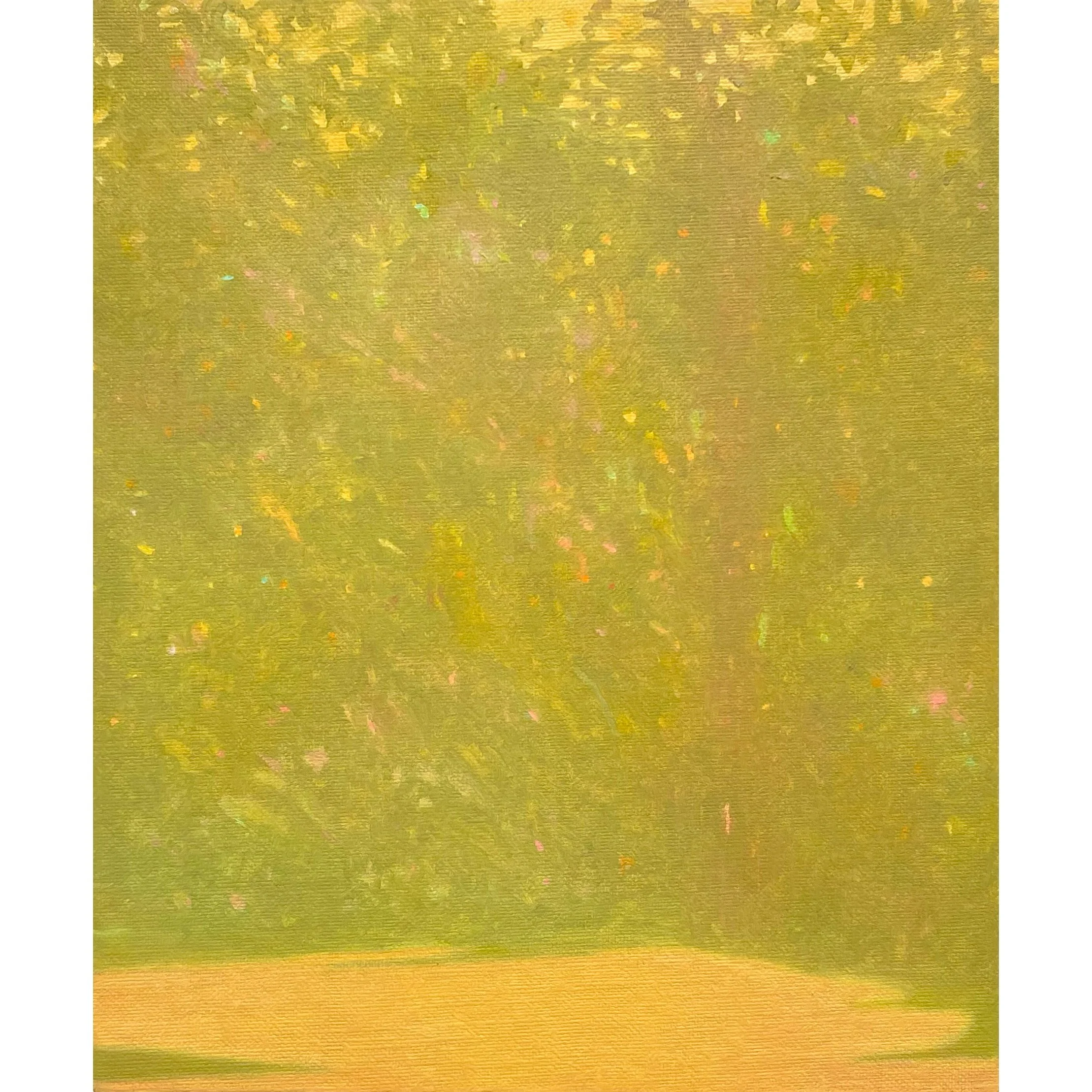 'Glade' oil on linen, 30 x 25cm, 2025