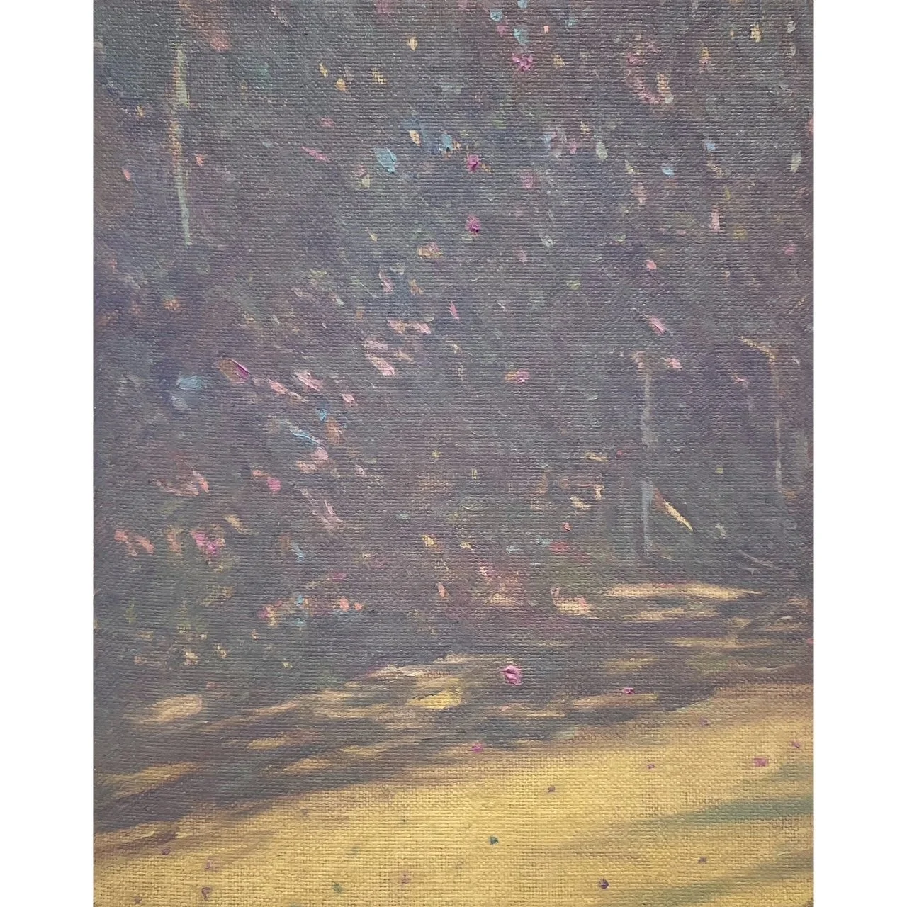 'Umbra' oil on linen, 25 x 20cm, 2025
