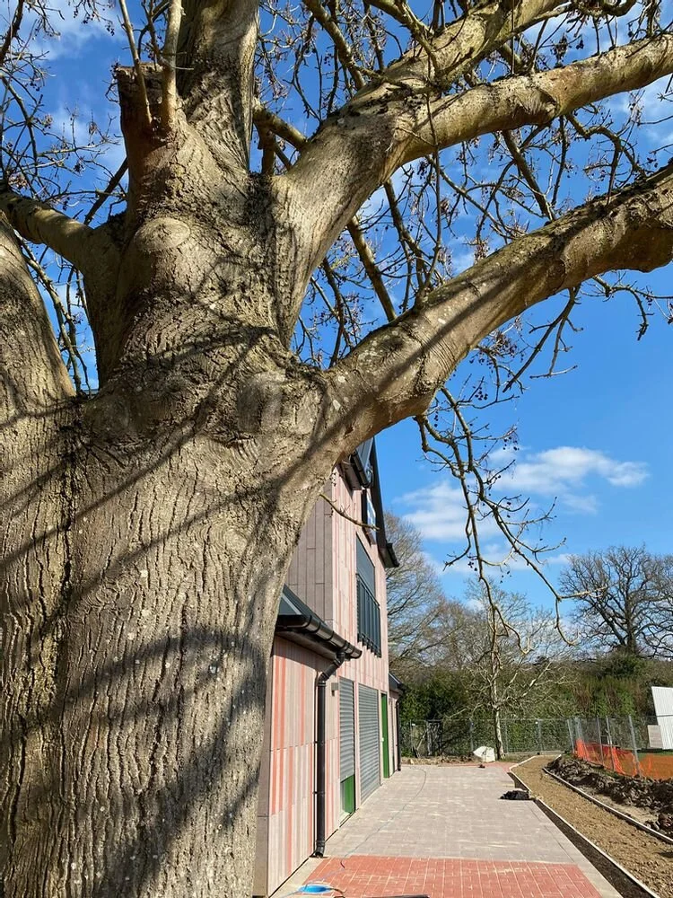 A NEW HOME, A NEW BEGINNING (3).jpeg