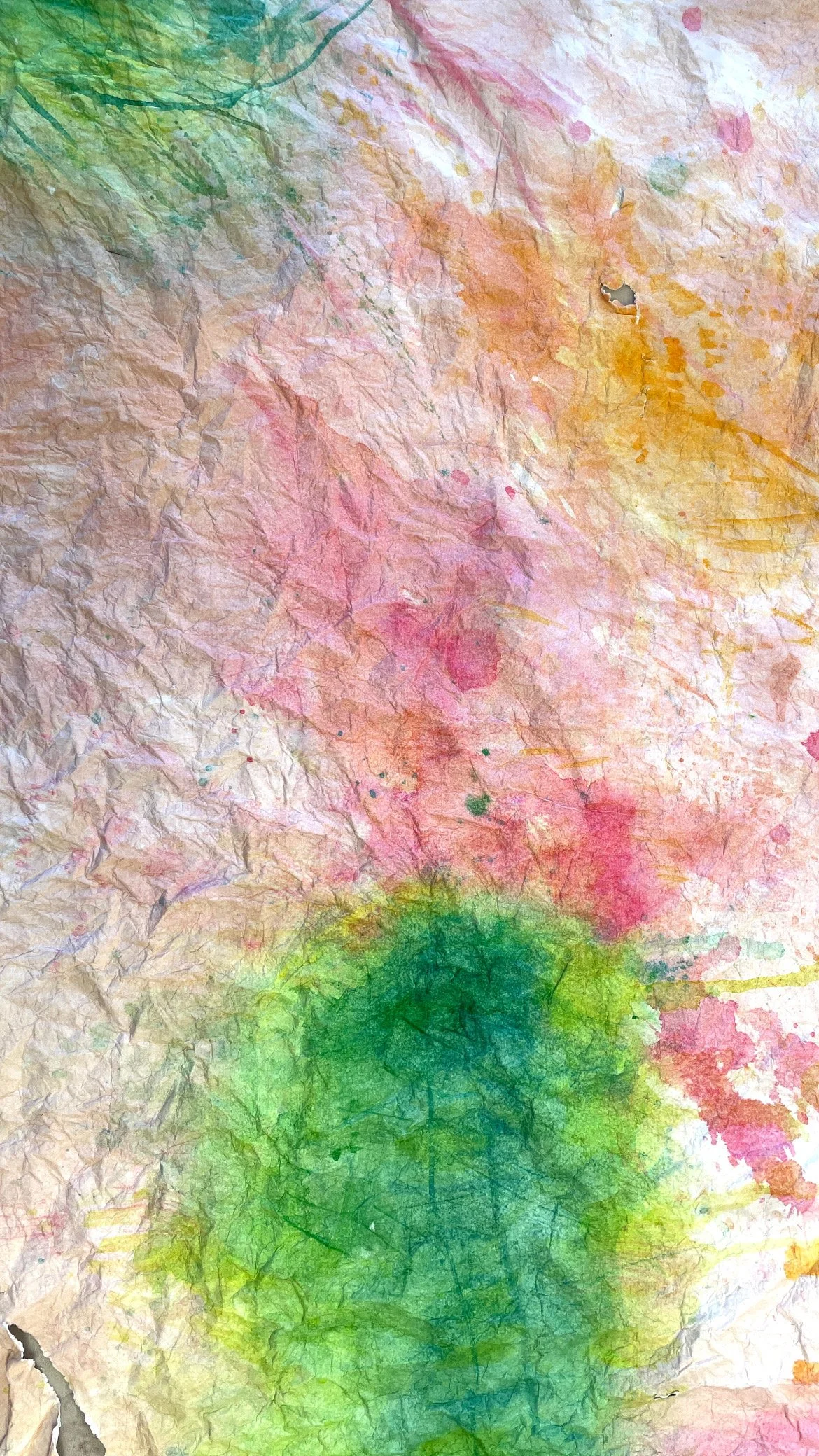 159CE657-8F4E-434A-8371-0B9885437B7C.jpeg