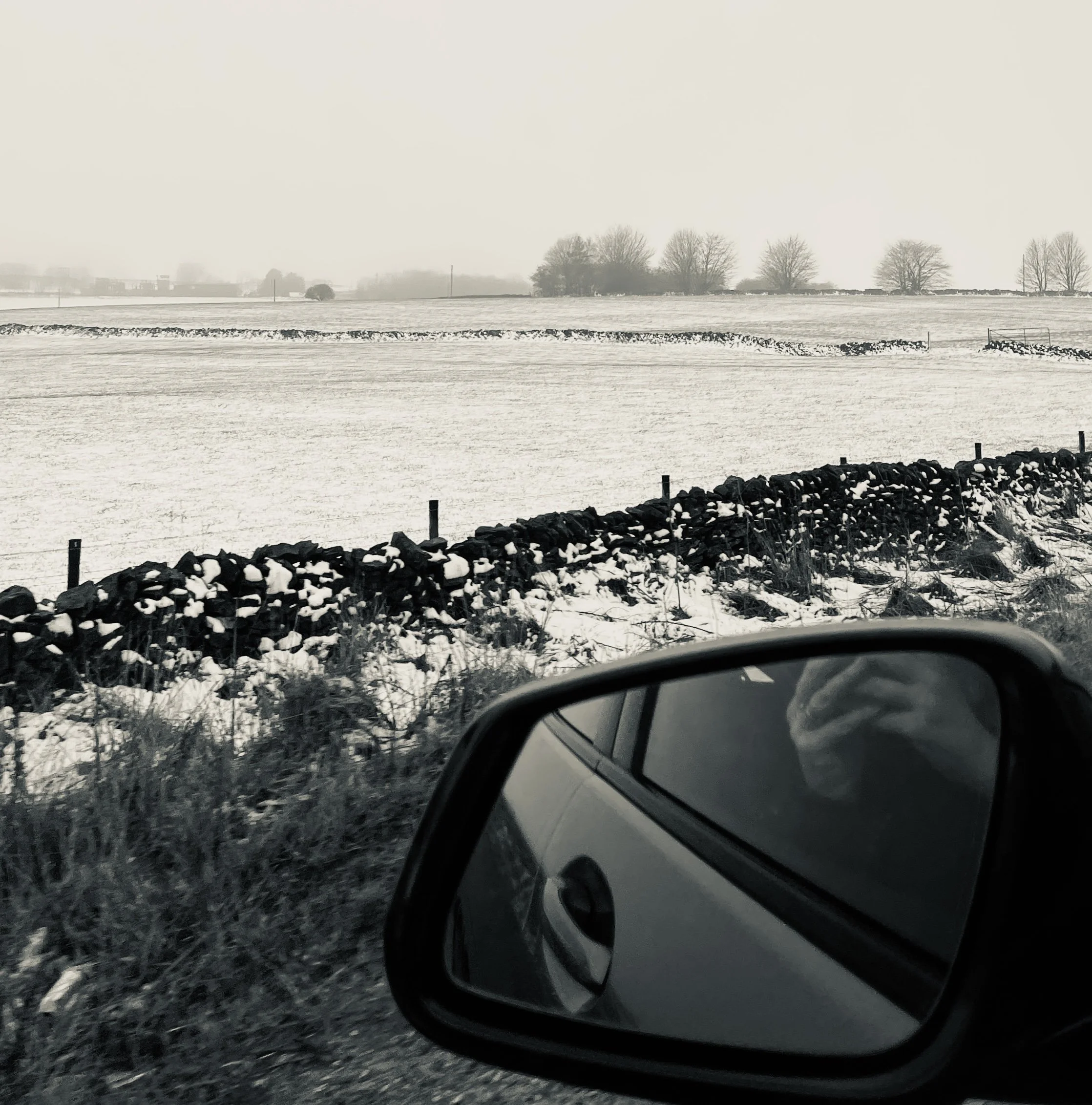 Broadening the landscape 