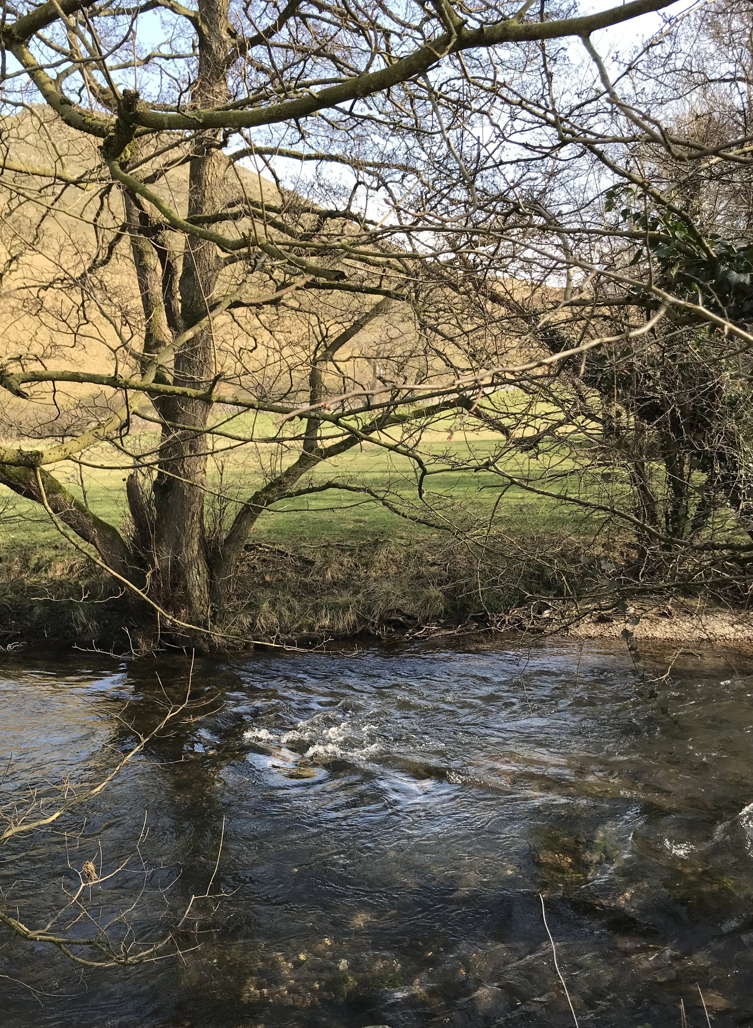 Other places: Derbyshire