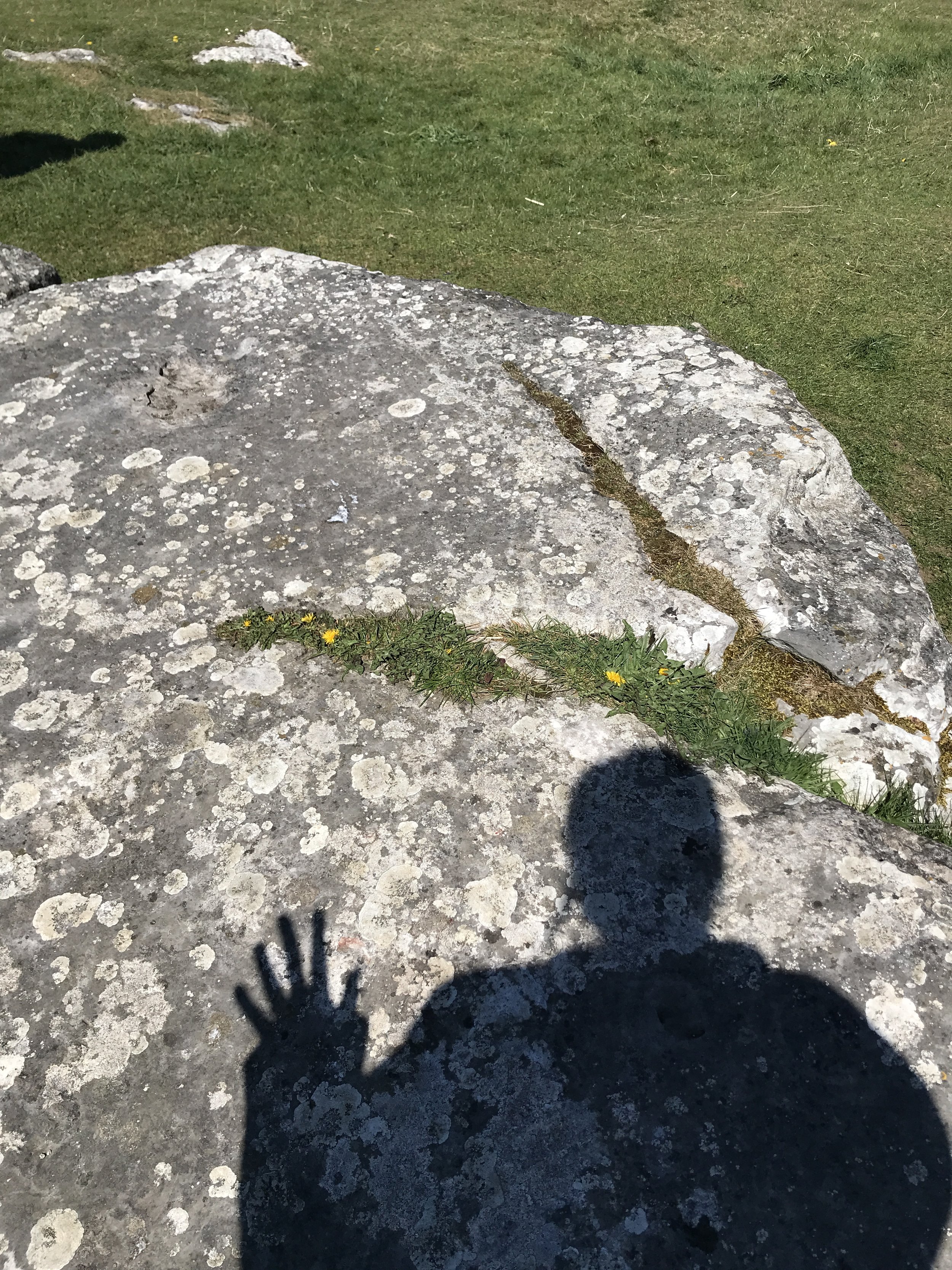 Arbor Low