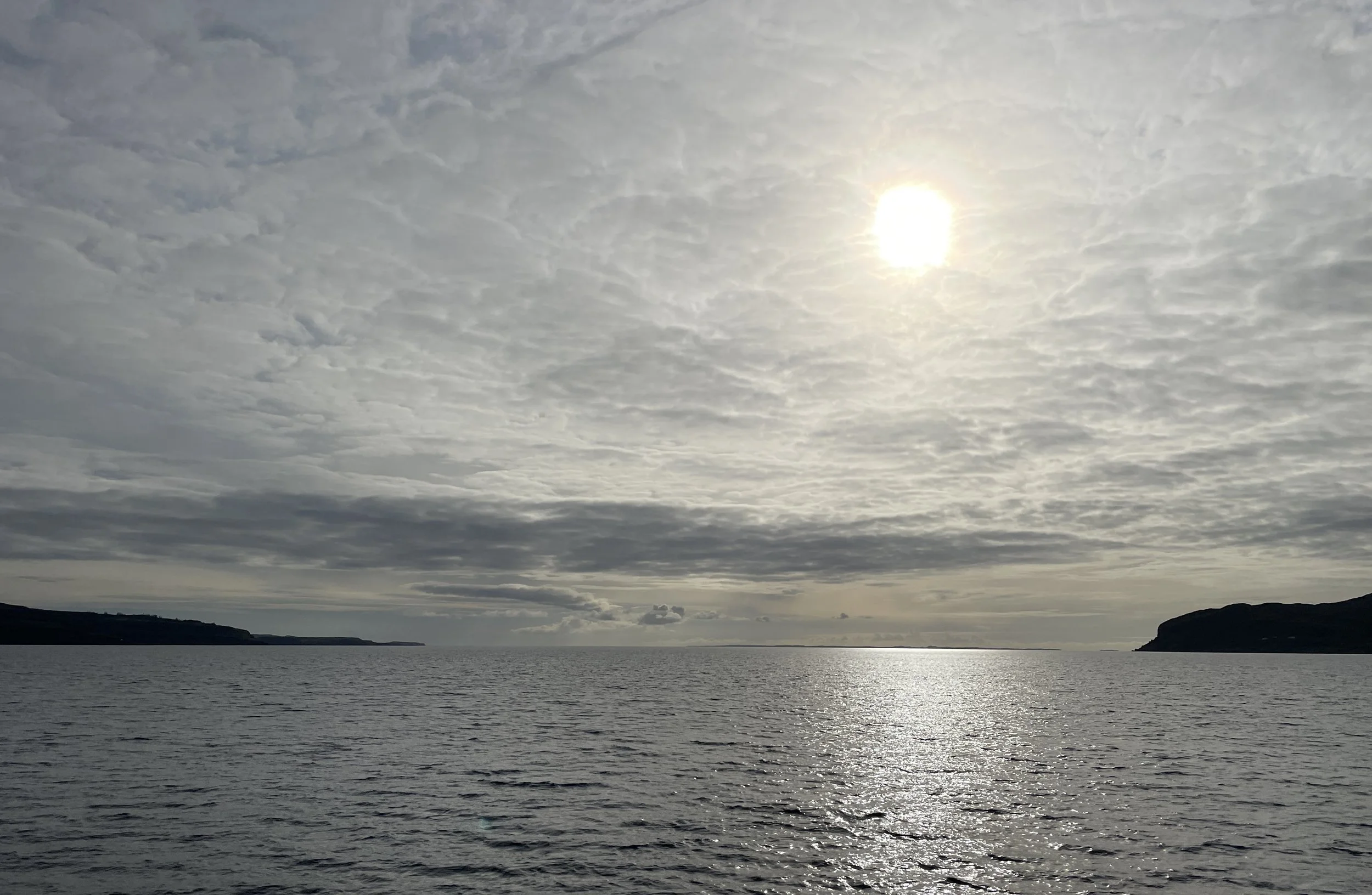 IMG_9152.jpeg