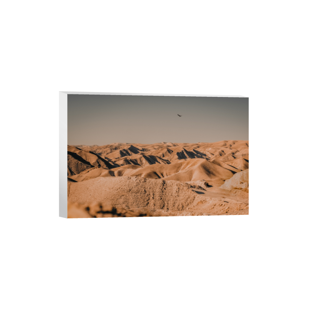 canvas_rectangle2_3_0_0_4898_3265_0_false_ffffff_0_0.png