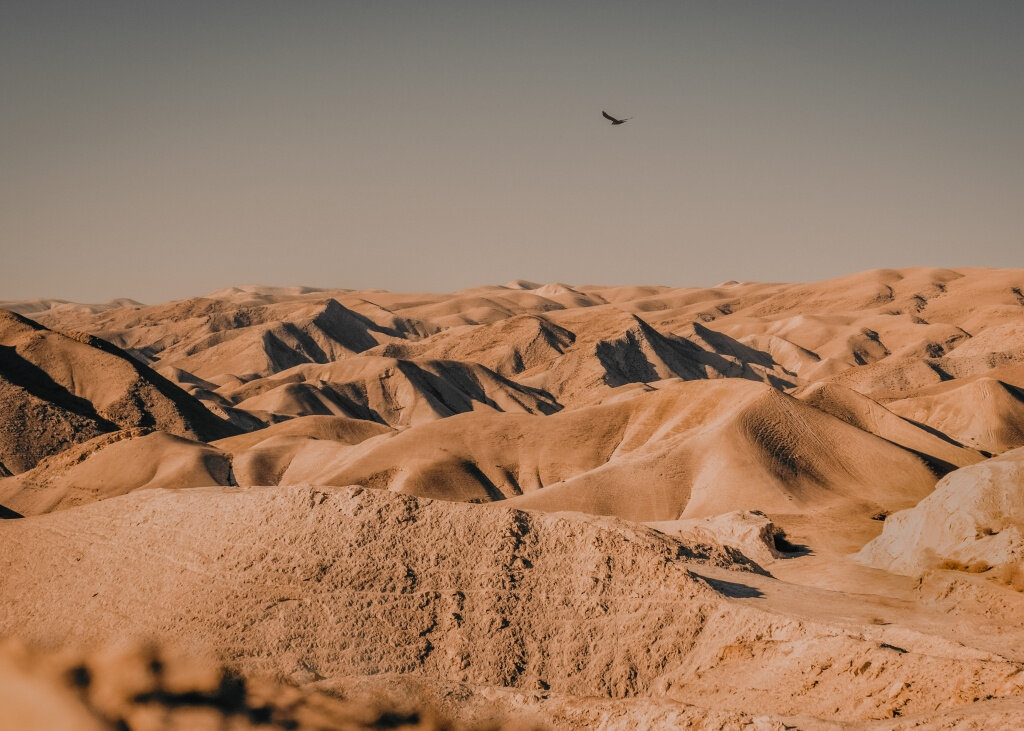 canvas_rectangle5_7_162_0_4572_3266_0_false_ffffff_0_0.png