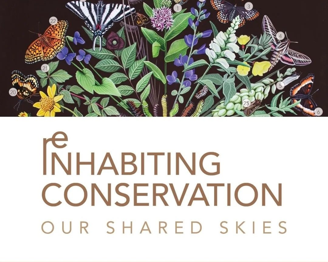 Re-inhabiting Conservation: Our Shared Skies