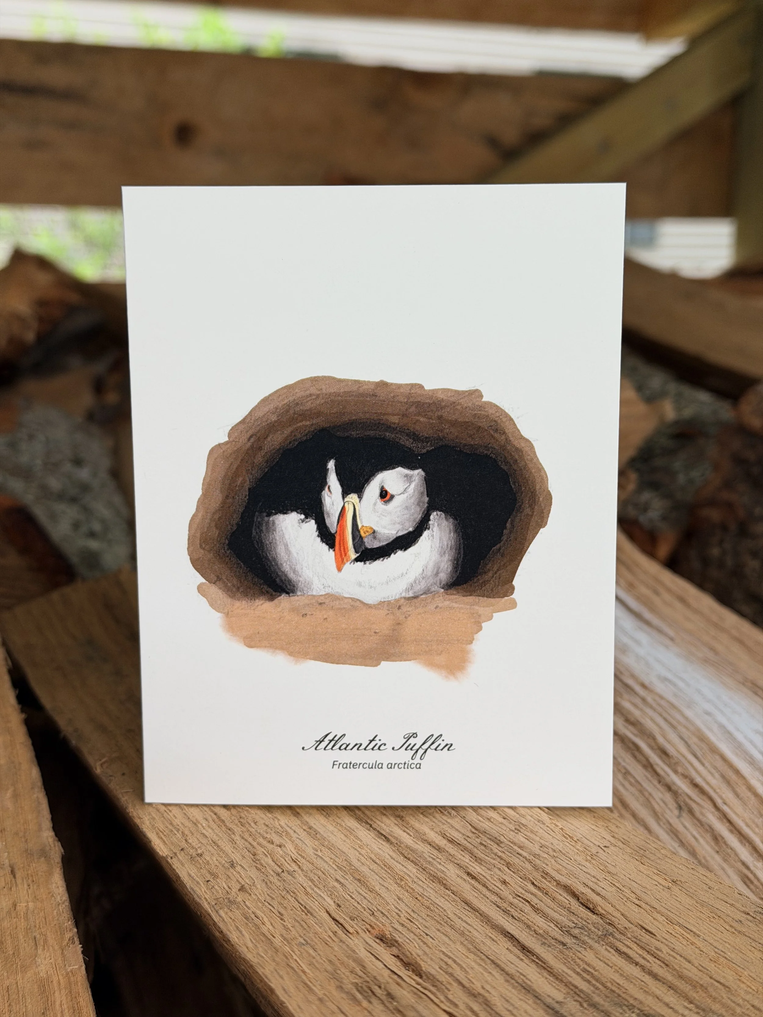 Puffin Burrow card