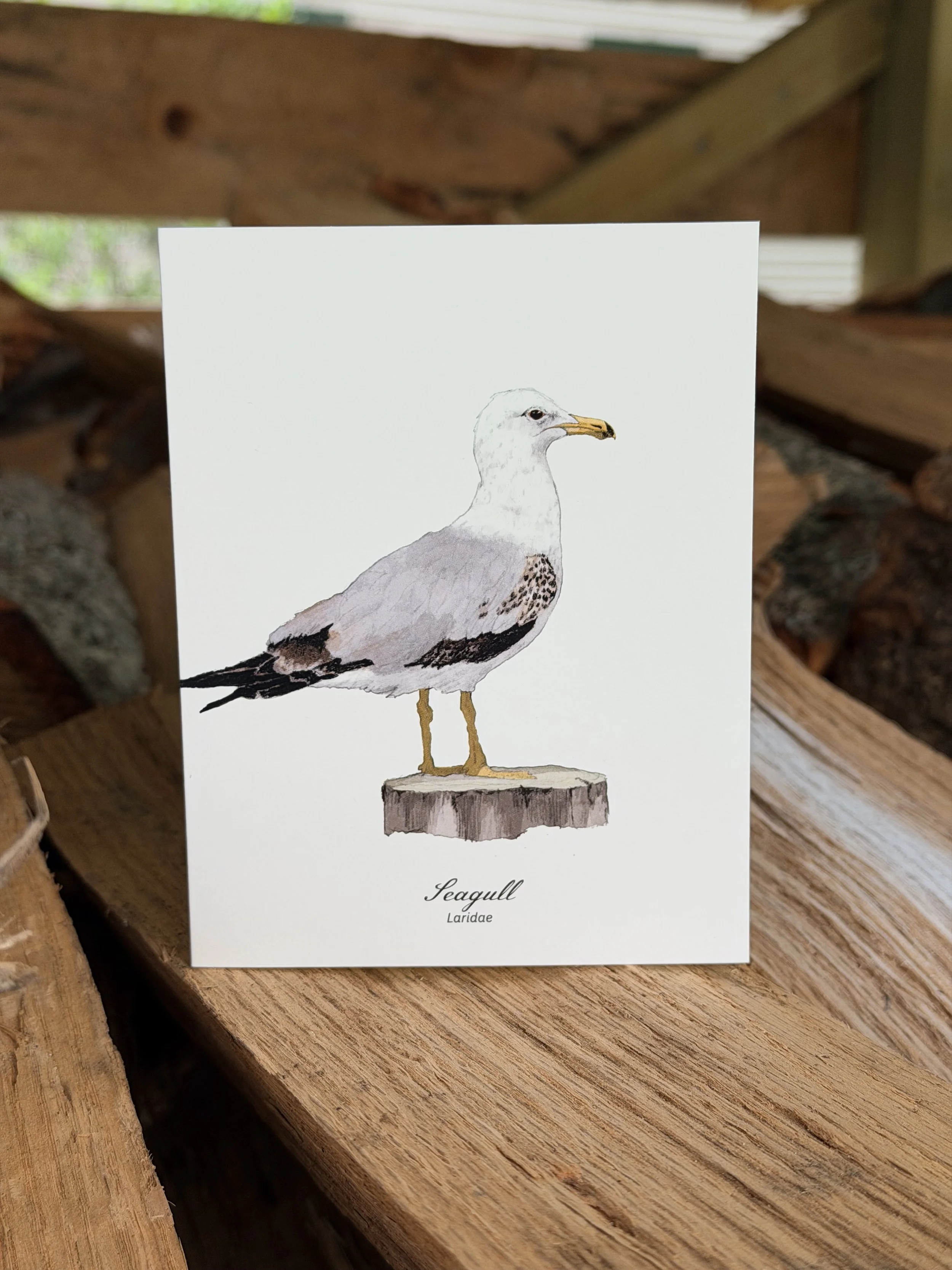 Seagull Card