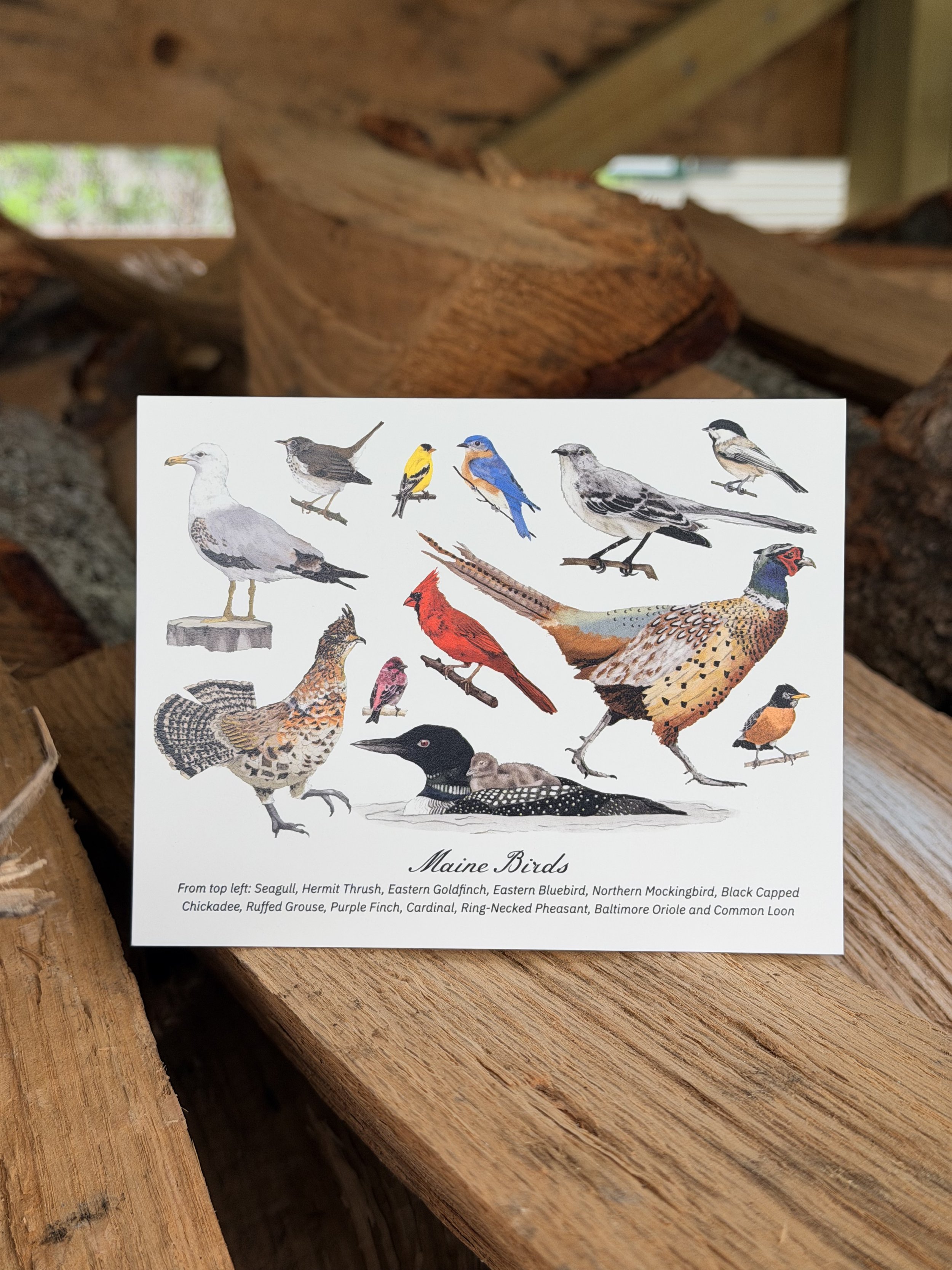 Birds of Maine Card
