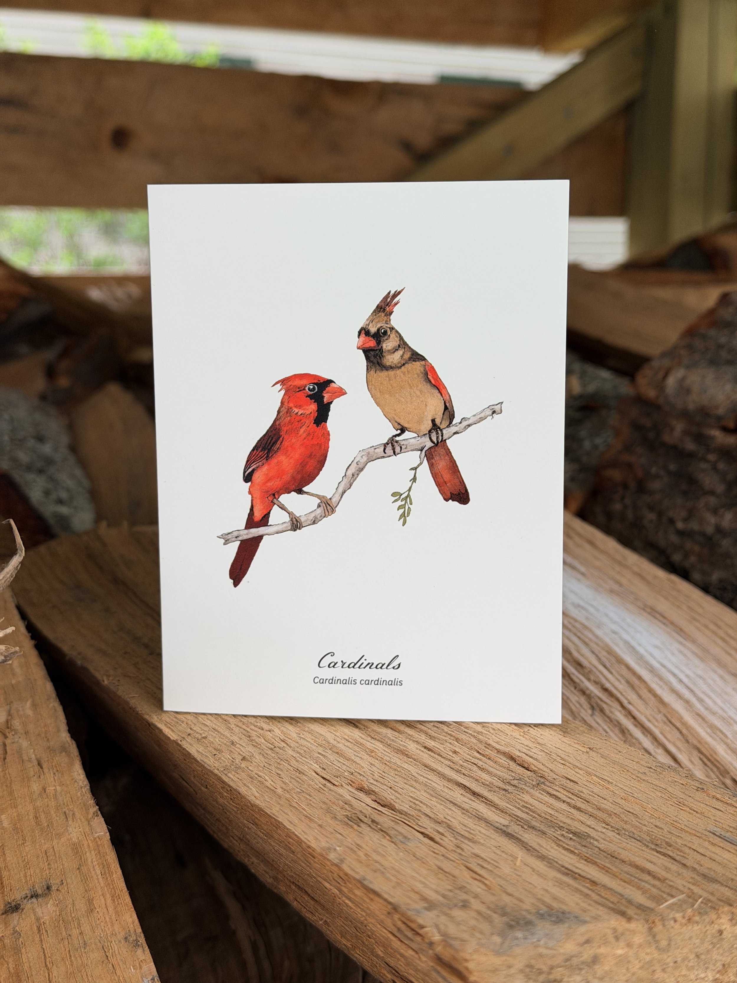Cardinals Card