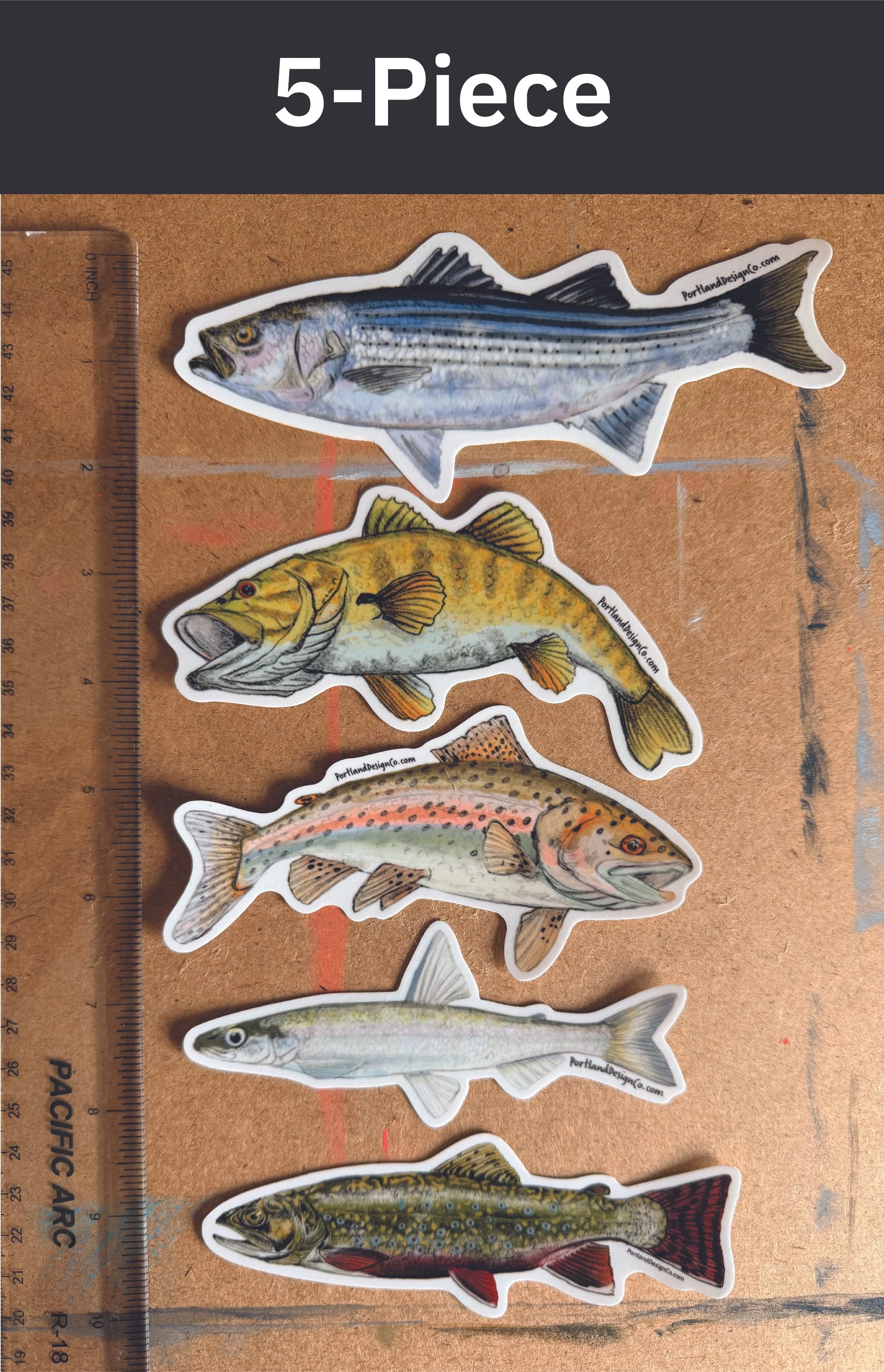 5-piece.FishPack-2.jpg