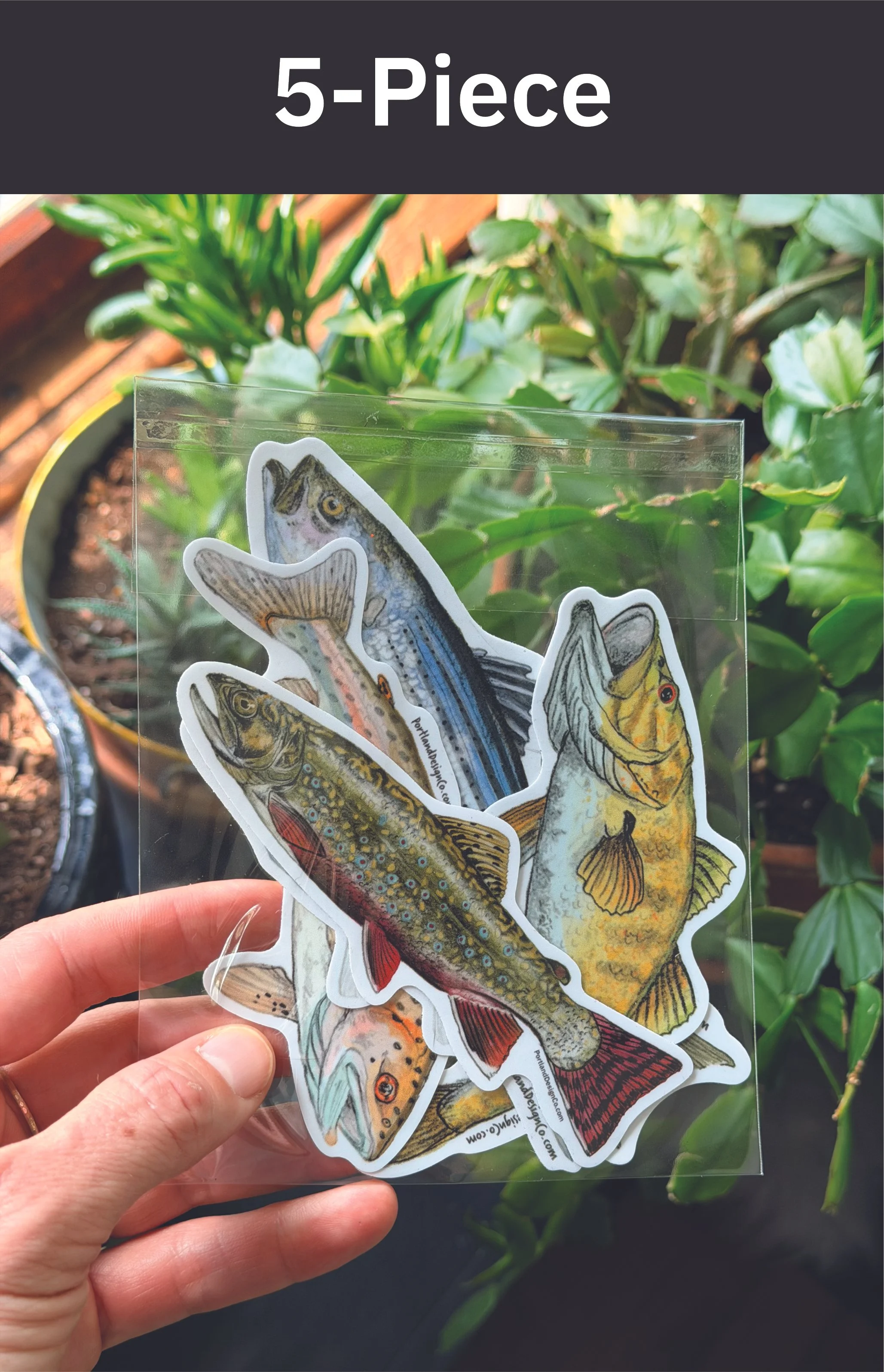 5-piece.FishPack.jpg