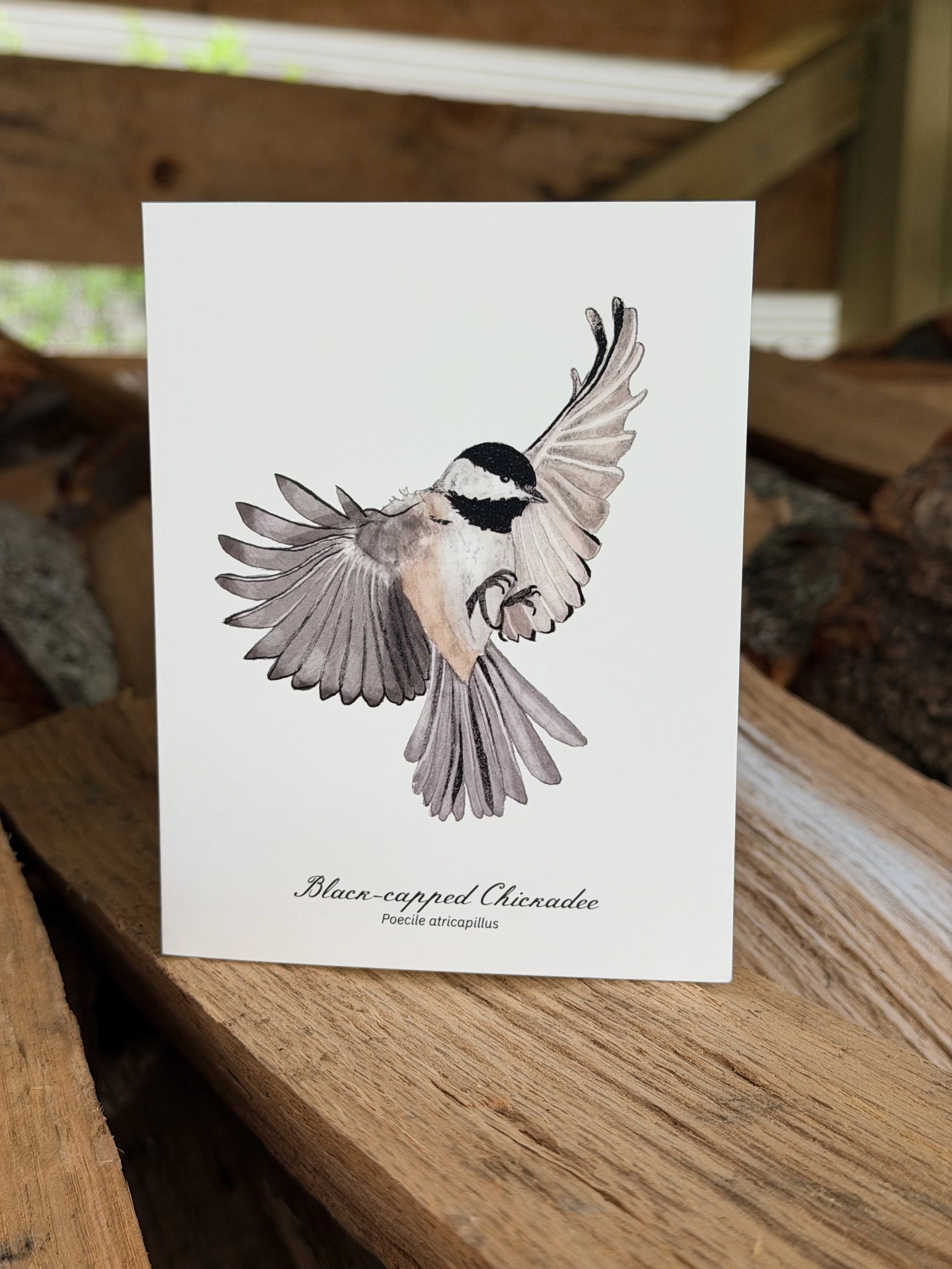 Chickadee in flight Card